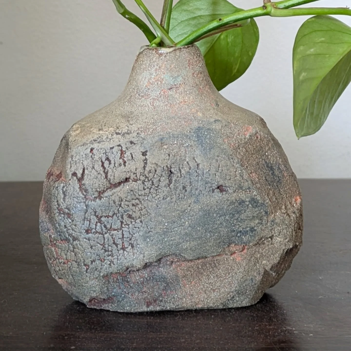 Distressed carved bud vase, great for propagation (in this case carrying on the legacy of a long time pothos companion)
#budvase