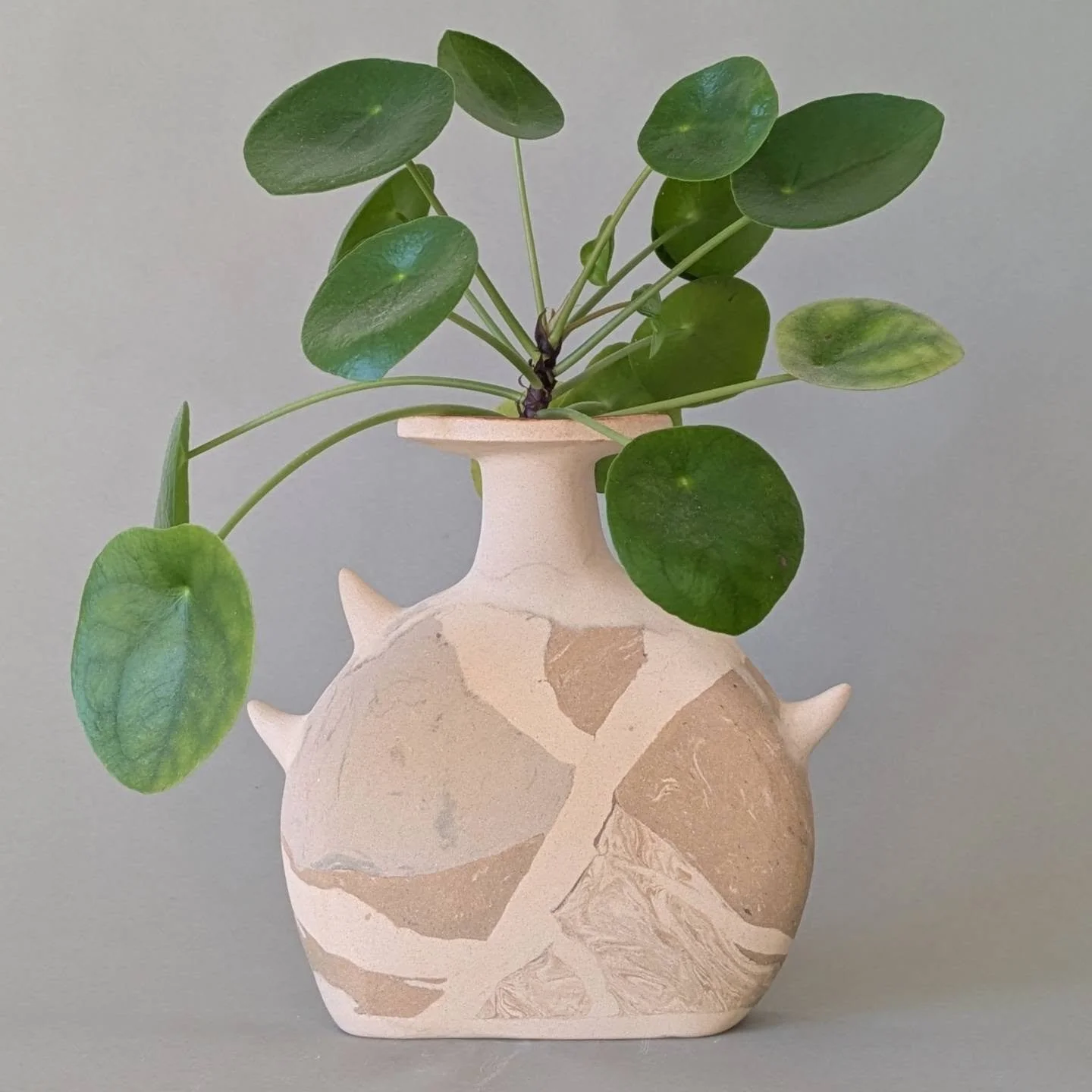 Thorny nerikomi bud vase. The next iteration will have a rim more suited for pouring, I feel this could be an excellent vessel for tequila 😄 
#nerikomi #vase #ceramics