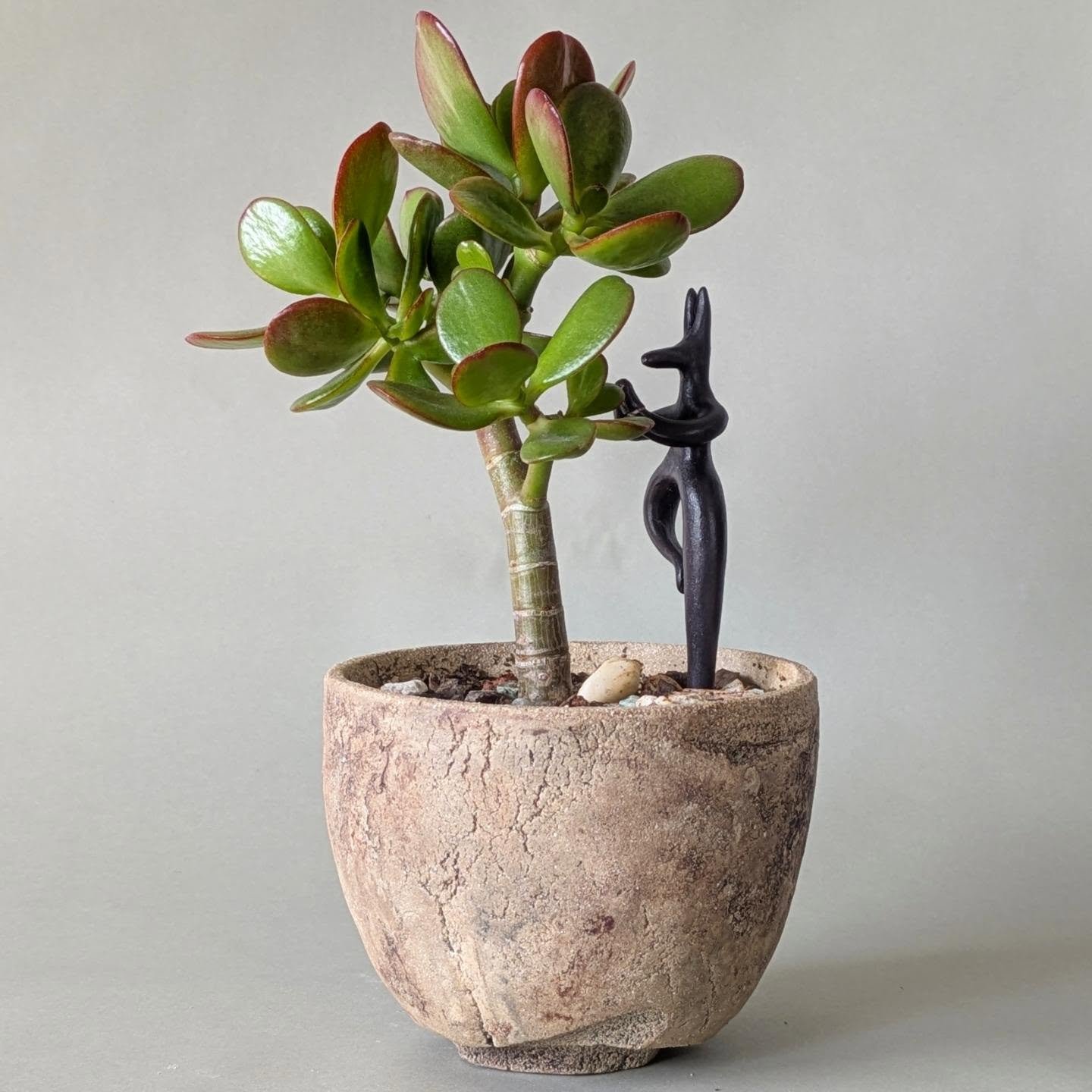 Tree posing porcelain anubis with jade plant