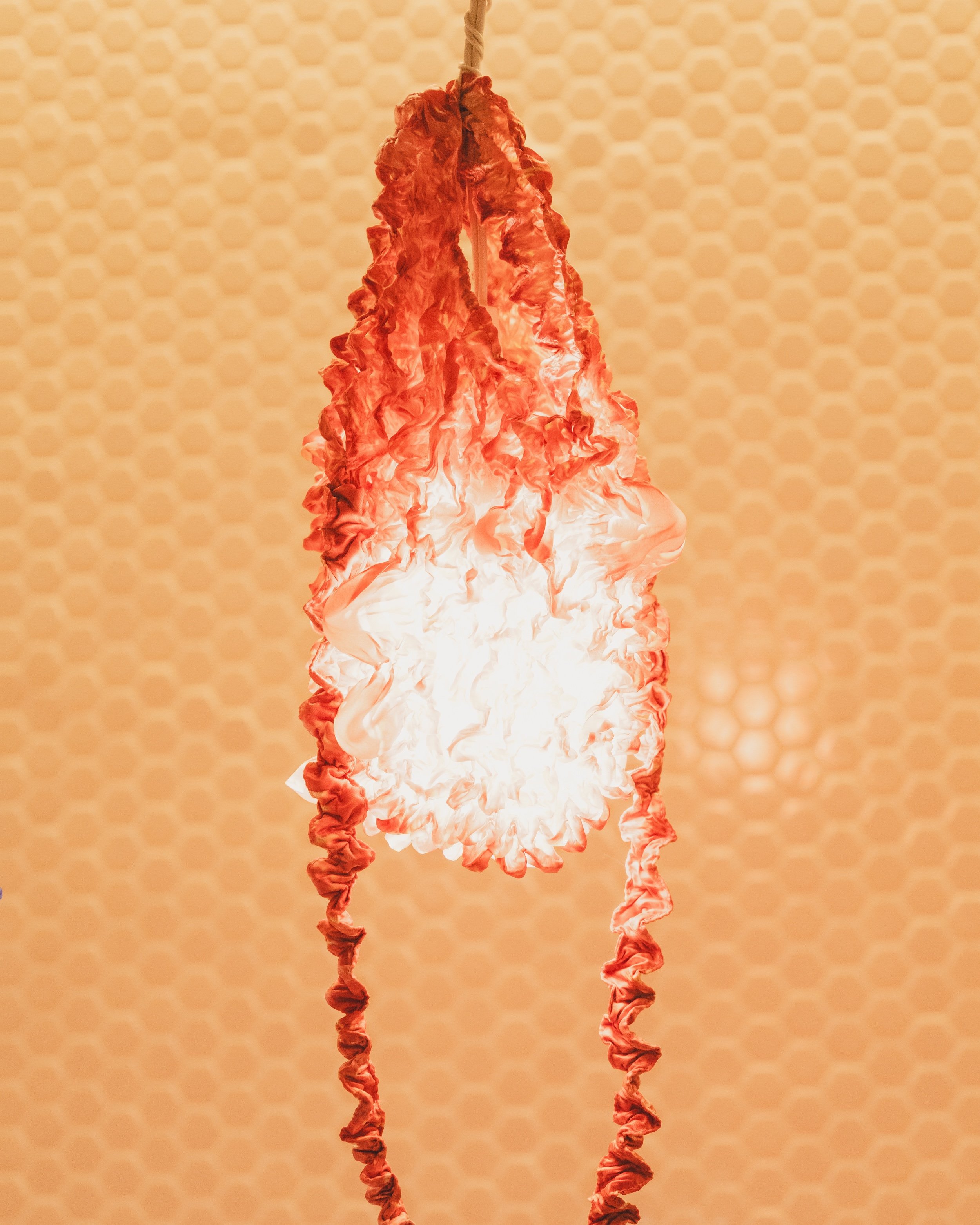 DSCF9851.jpg