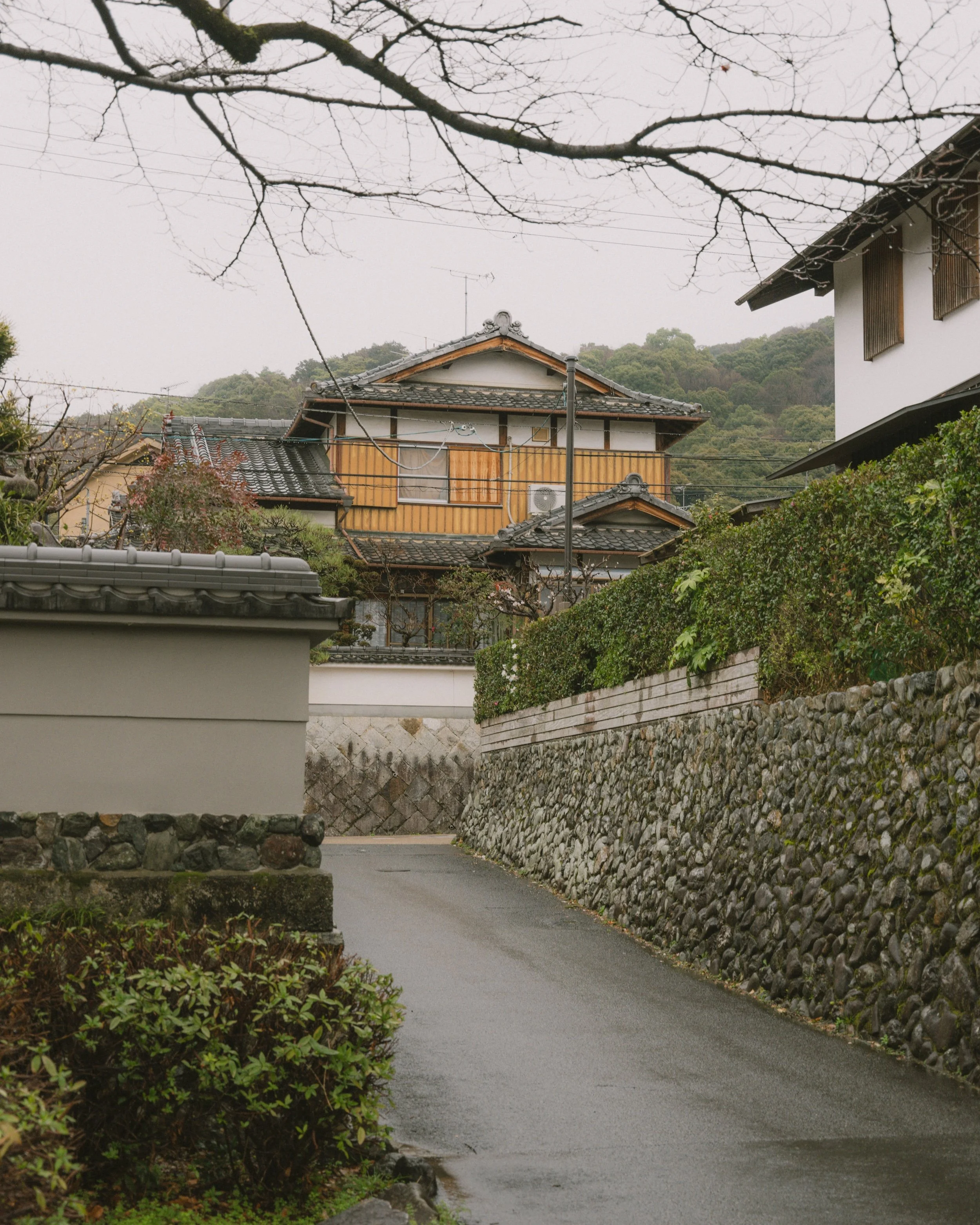 DSCF9006.jpg