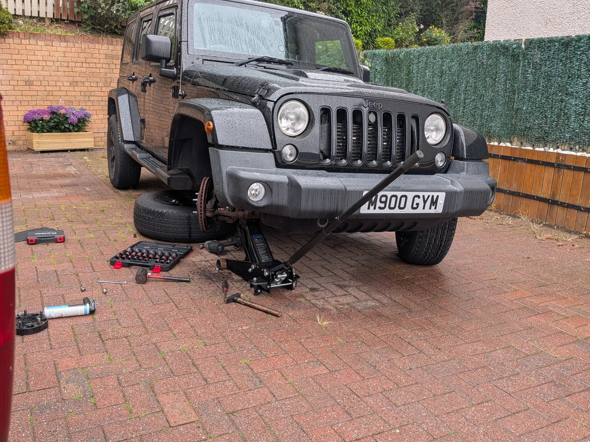 wrangler 2.jpeg
