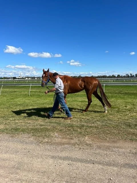 WhatsApp Image 2025-12-16 at 12.52.48 (2).jpeg