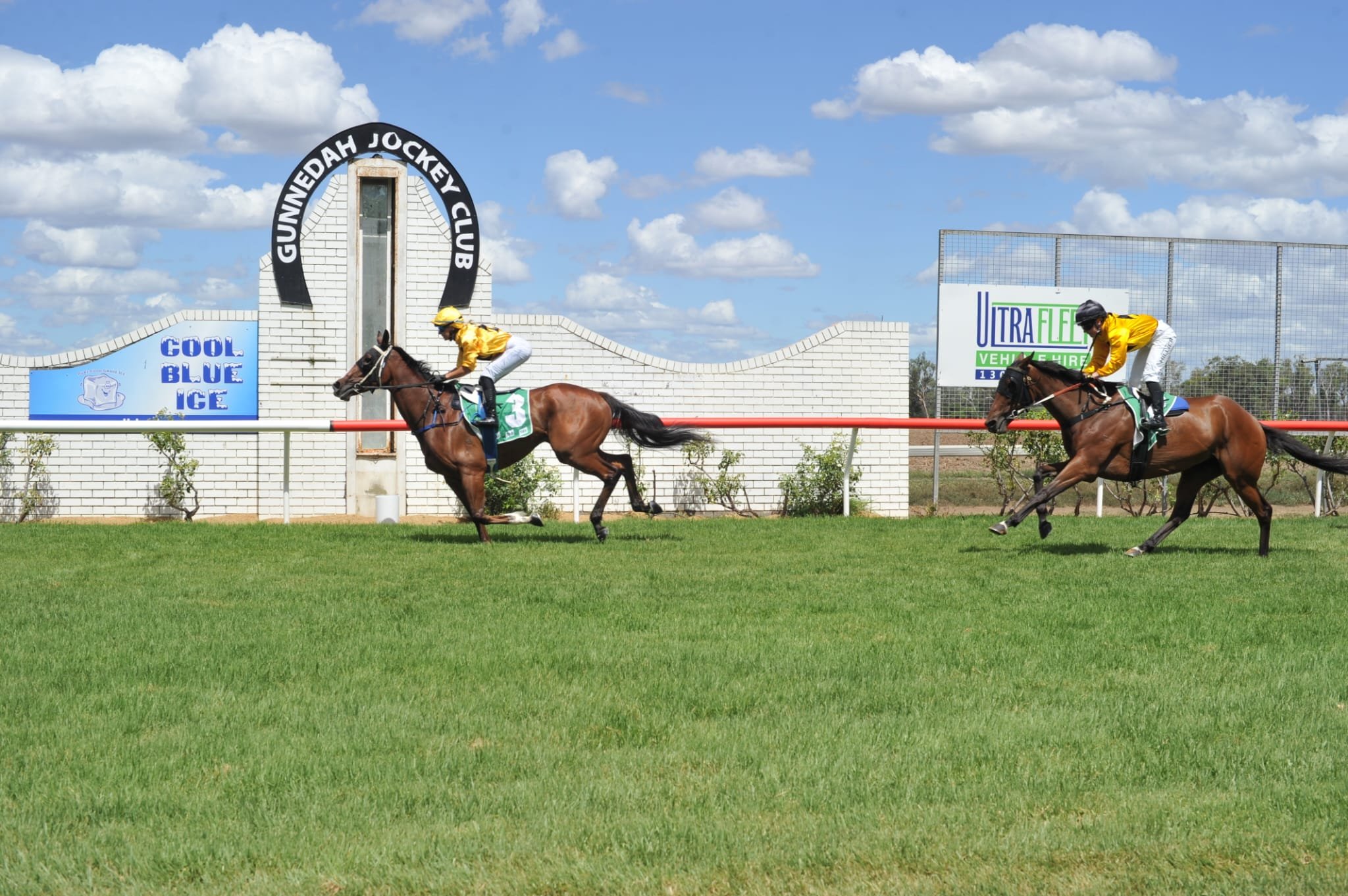 Punters hungry for in-form Mr Chips at Dubbo