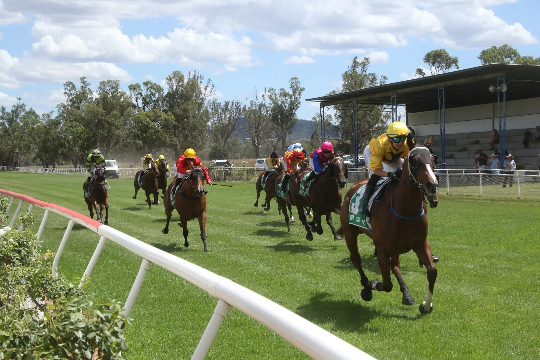 O’Neile may ‘dare to dream’ with Mr Chips