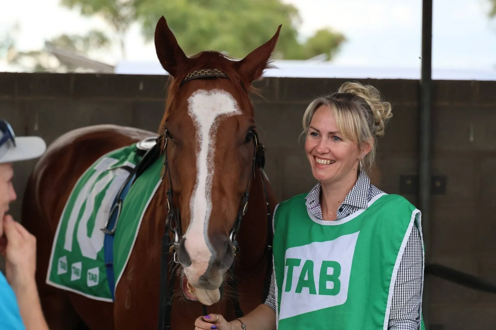 Reprisal leads big team of chances at Gunnedah