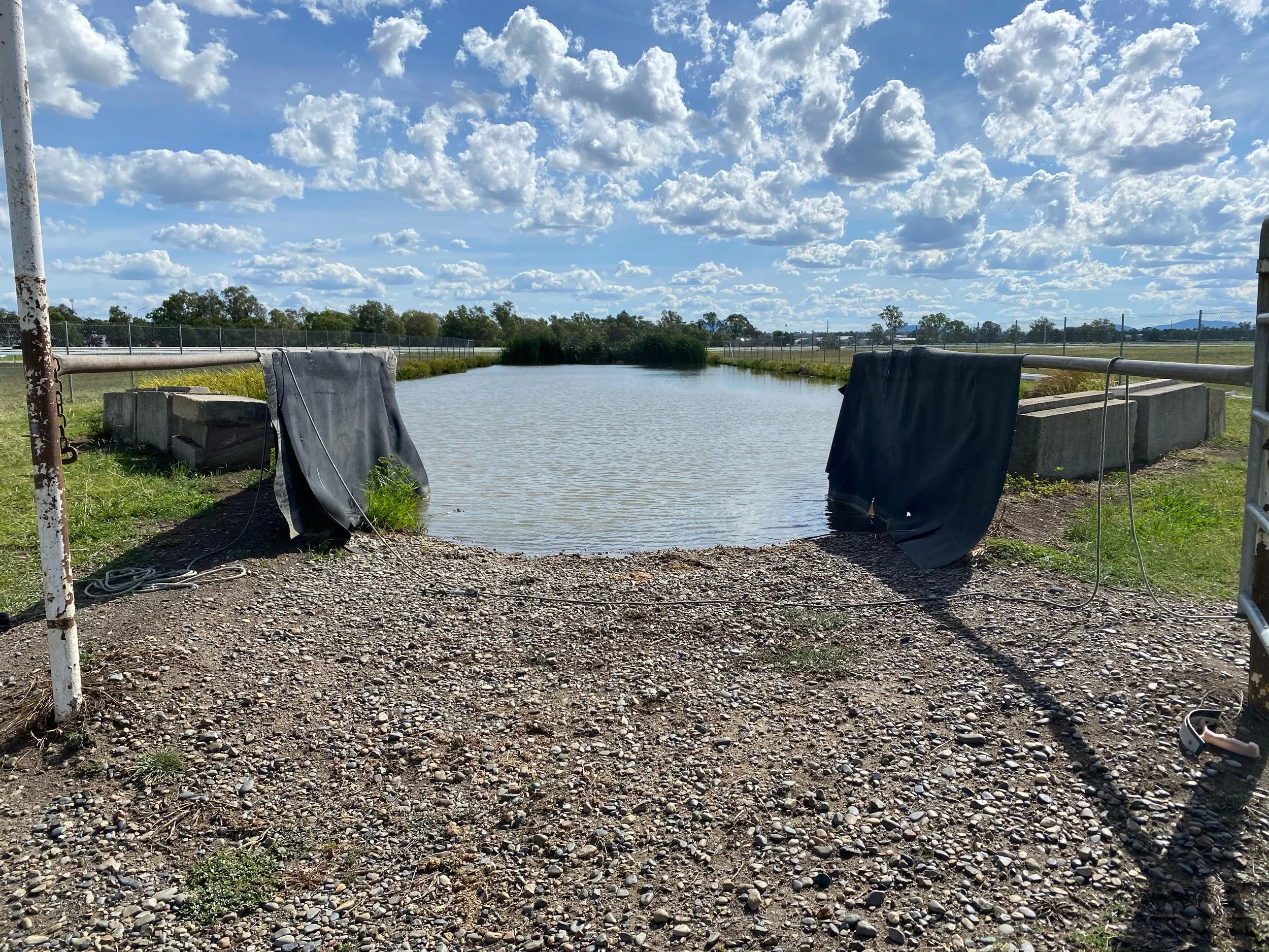 WhatsApp Image 2025-12-14 at 20.40.17.jpeg