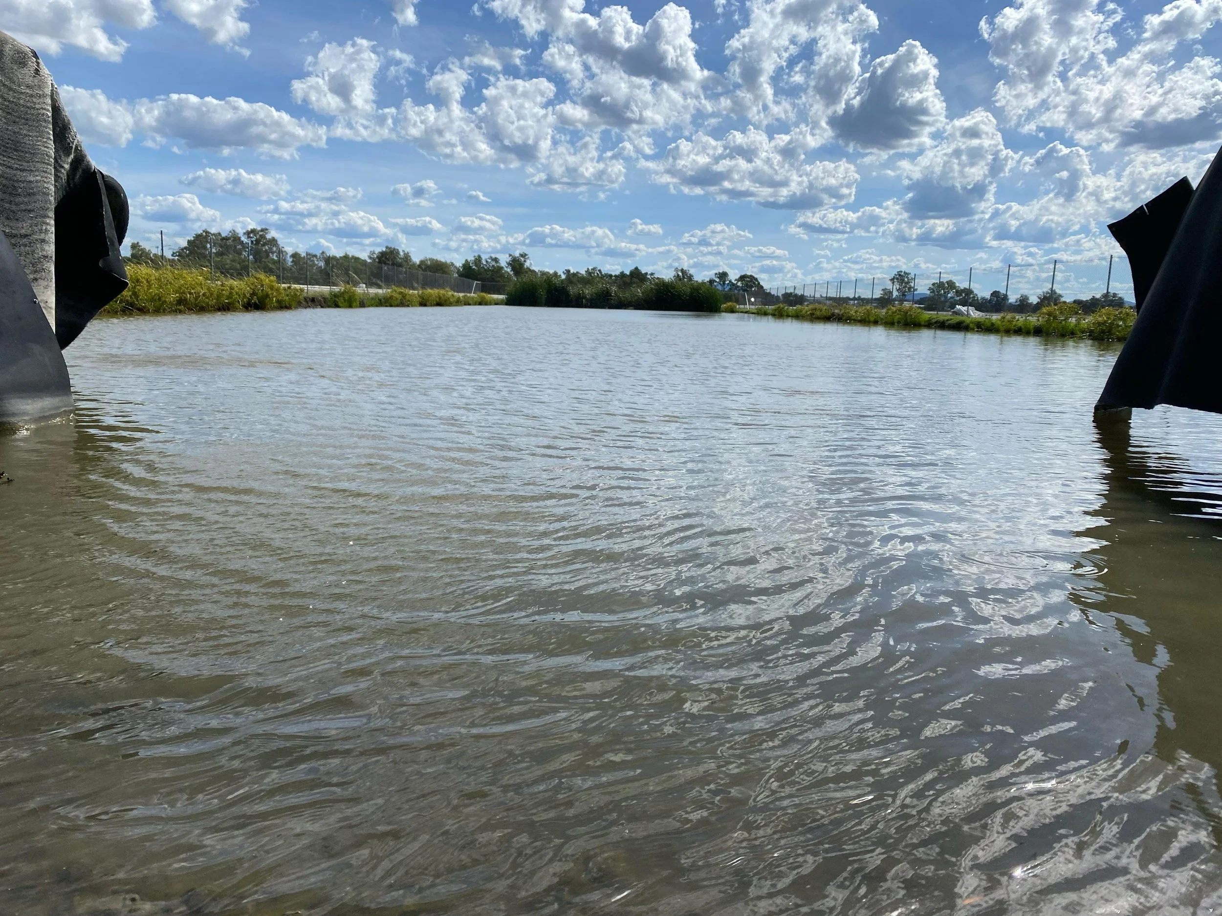 WhatsApp Image 2025-12-14 at 20.40.45.jpeg