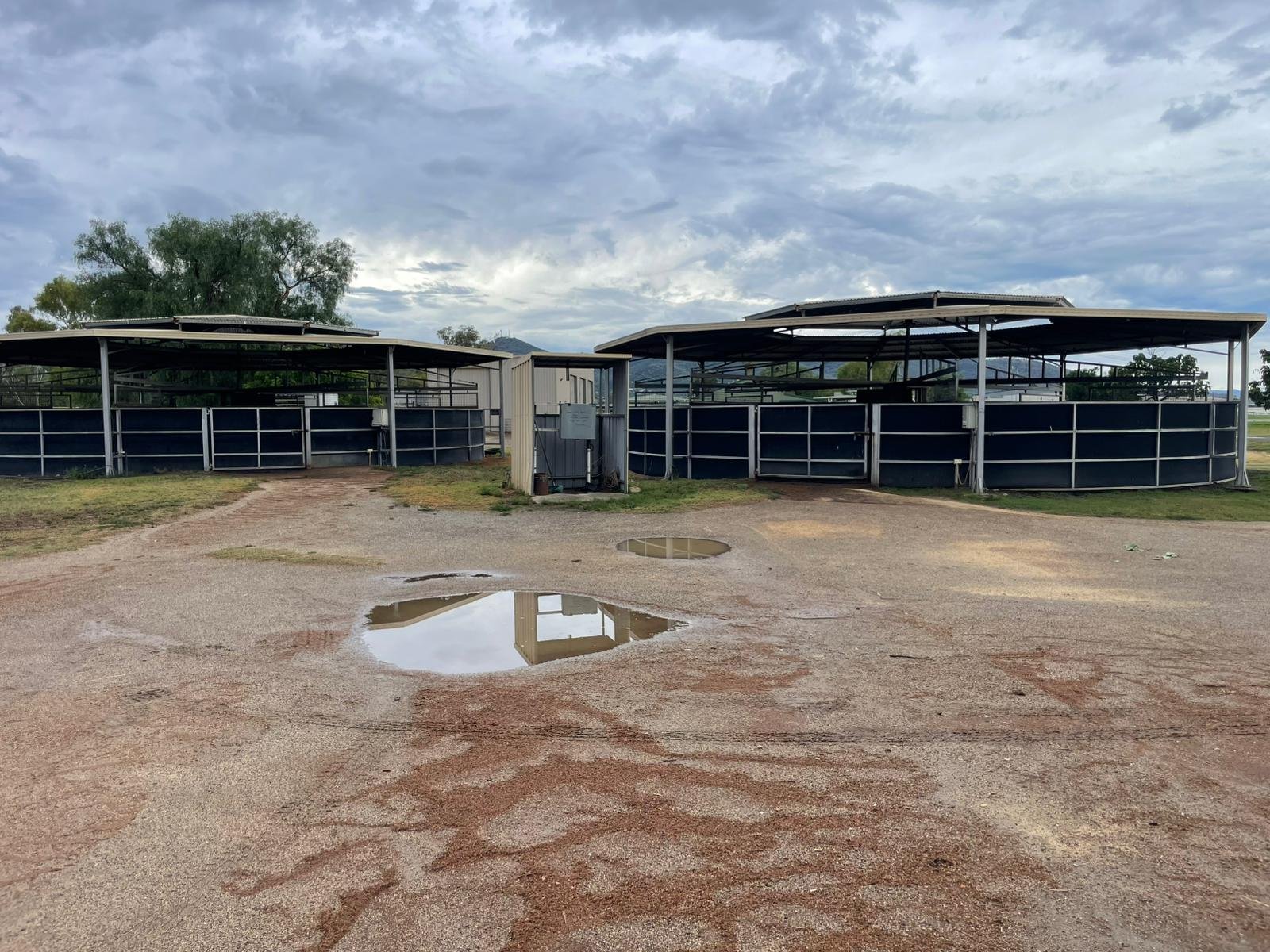 WhatsApp Image 2025-12-12 at 17.47.04.jpeg