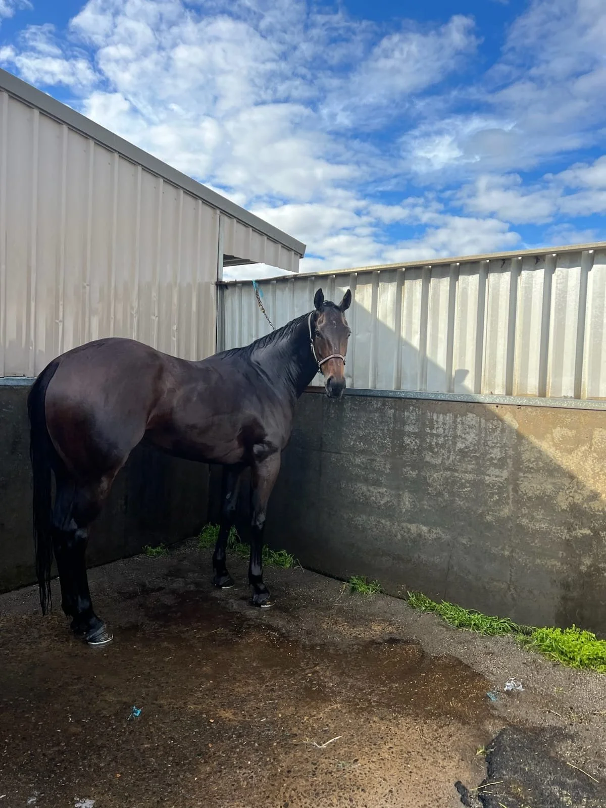 WhatsApp Image 2025-12-16 at 12.52.47 (2).jpeg