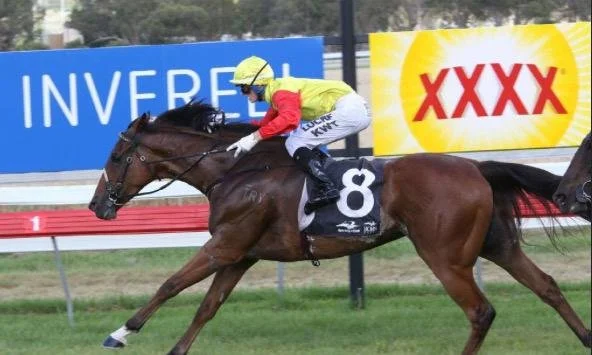 WhatsApp Image 2025-12-13 at 10.53.27.jpeg