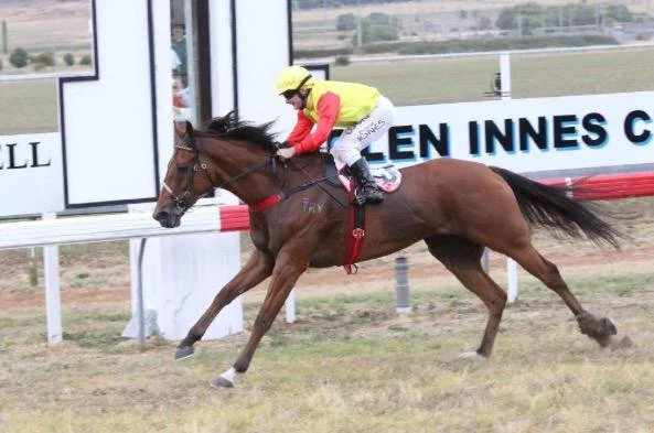 WhatsApp Image 2025-12-13 at 10.53.39.jpeg