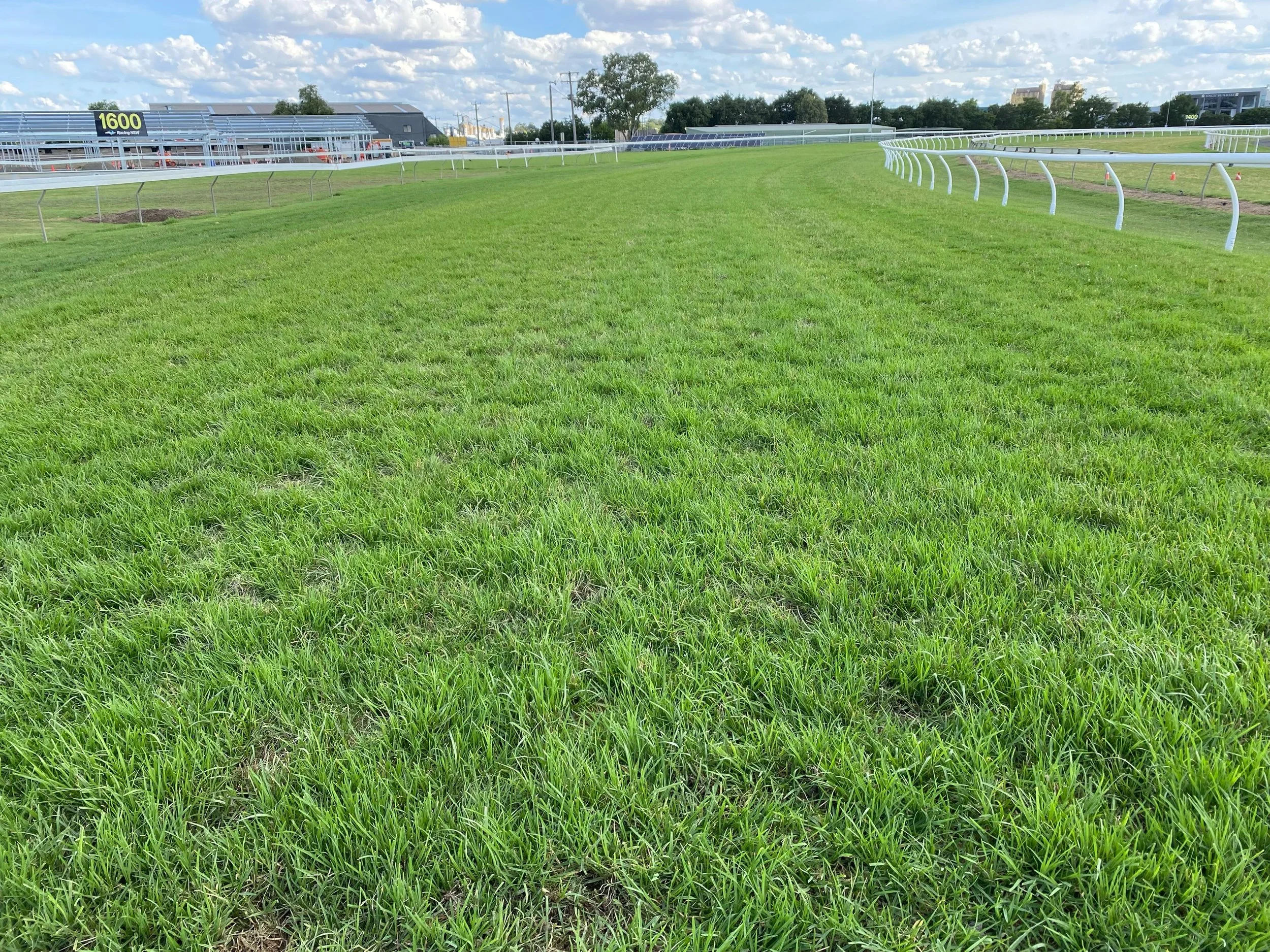 WhatsApp Image 2025-12-14 at 20.42.36.jpeg