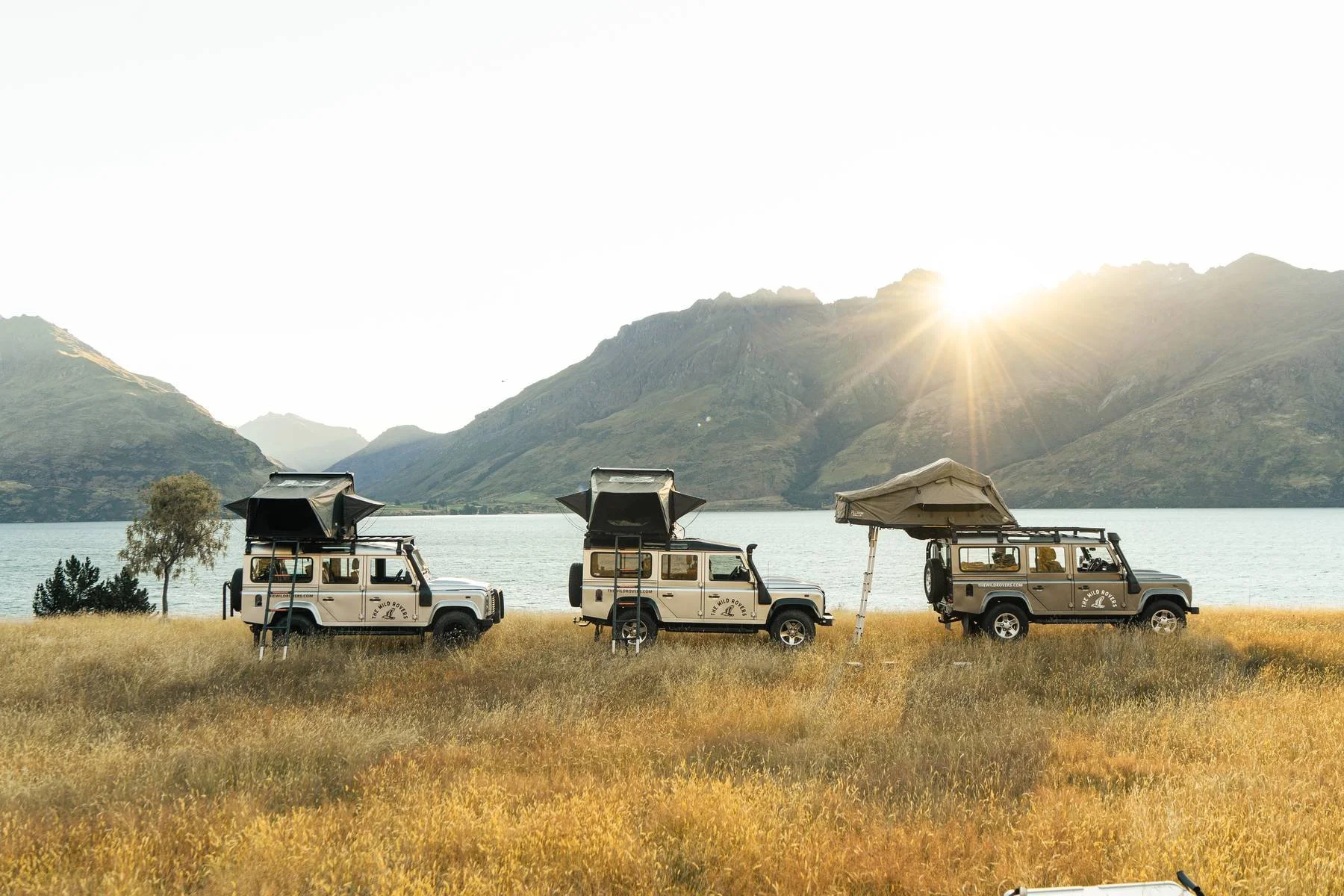 Wild Rovers_product-58.jpg