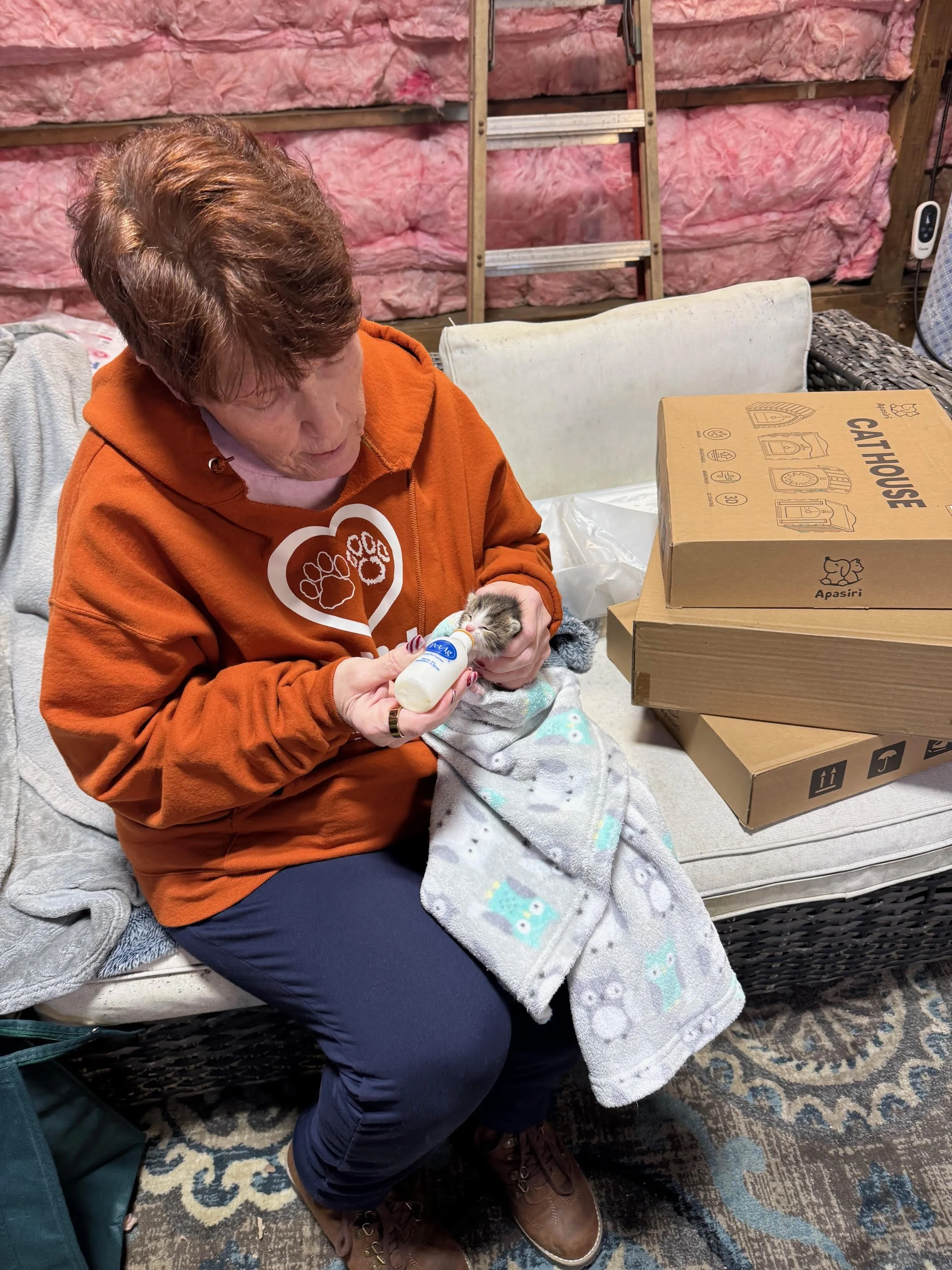 A woman with short brown hair, wearing an orange hoodie with a paw print design, is sitting on a couch feeding a tiny kitten with a small bottle. The kitten is wrapped in a blanket, and there are cardboard boxes and a ladder in the background inside a room with exposed insulation on the walls.
