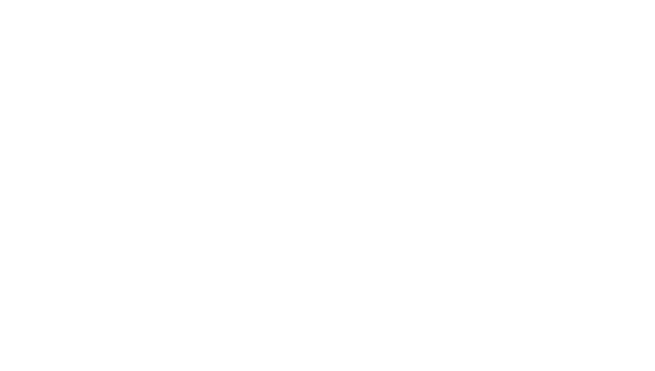 BC Legends logo