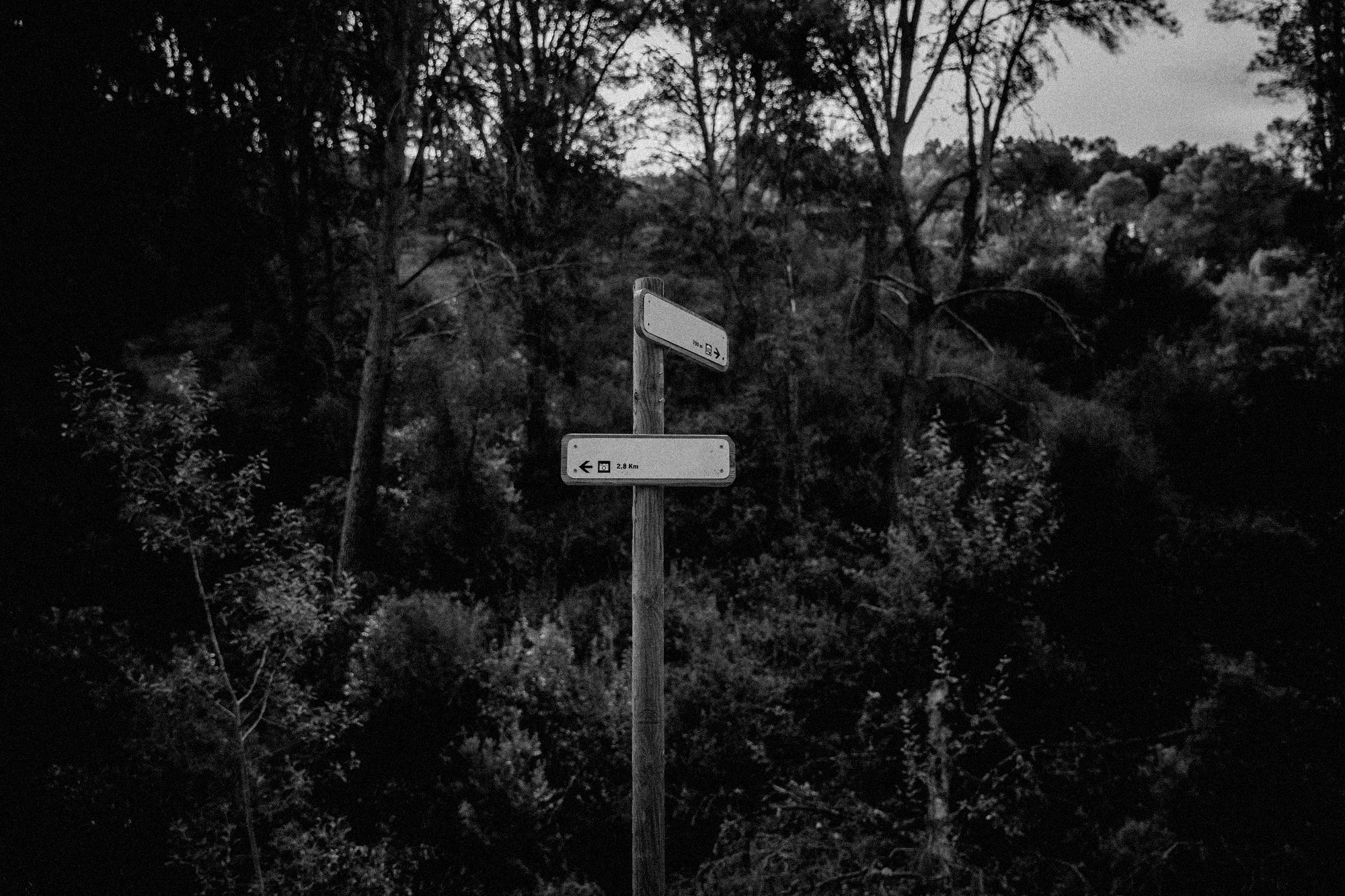 A wooden signpost with two directional signs is situated among trees in a forest, one pointing left with an icon of a camera and the other pointing right with a text indicating 2.8 km to a destination.