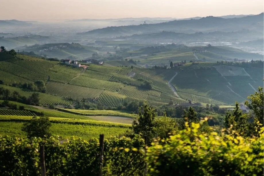 Piedmont+Hills.jpg
