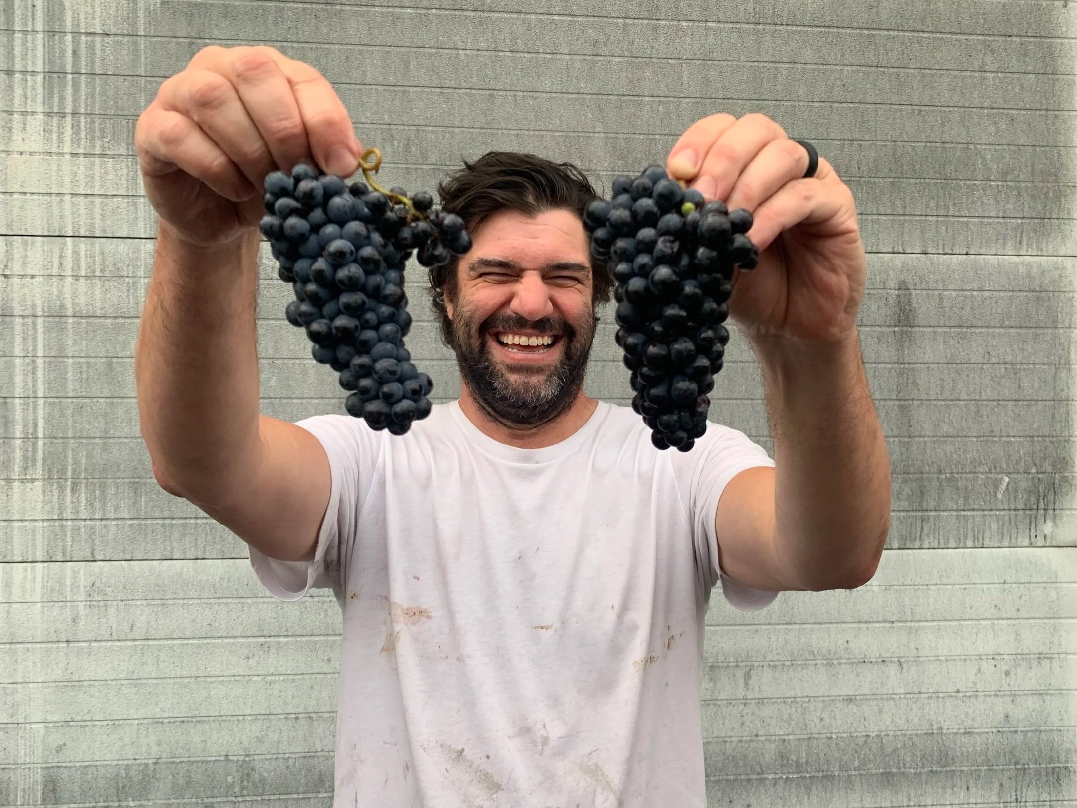A man with dark hair and a beard, wearing a white T-shirt, is holding two bunches of black grapes in front of him and smiling cheerfully.