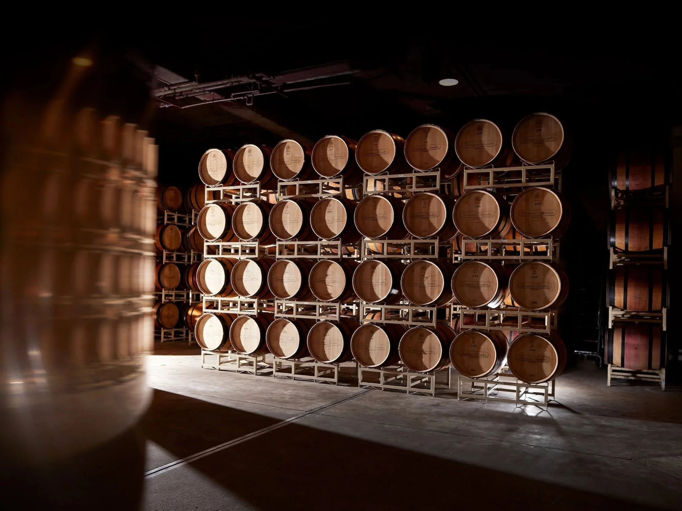 Domaine+Drouhin+Oregon_6.jpg