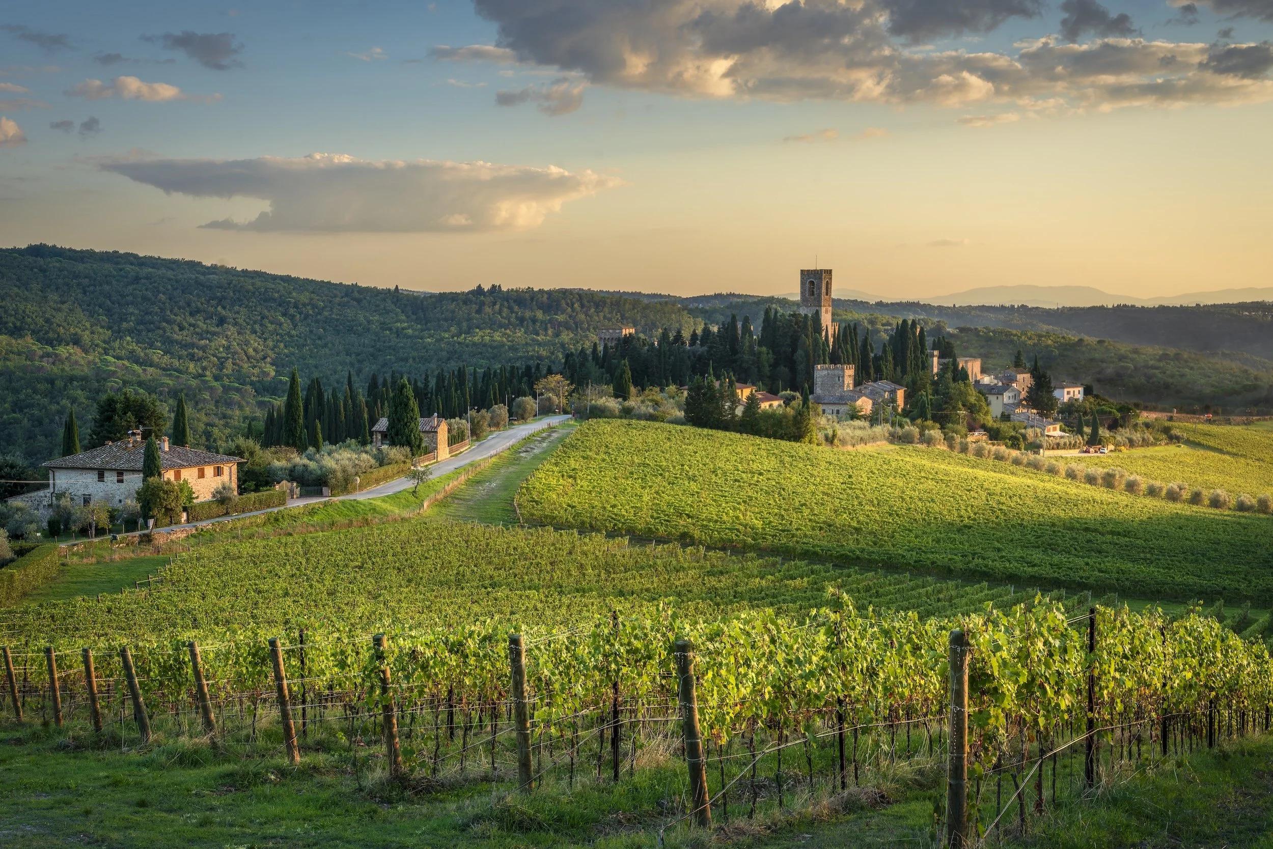 Badia a Passignano.jpg