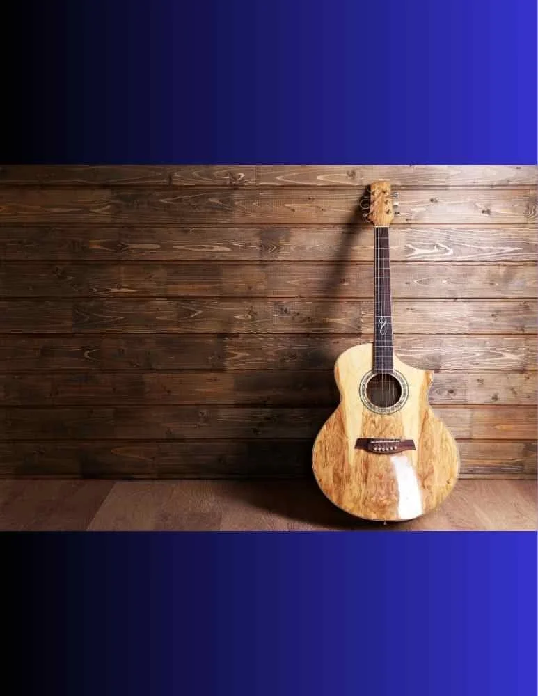 Mill Bay House Concert