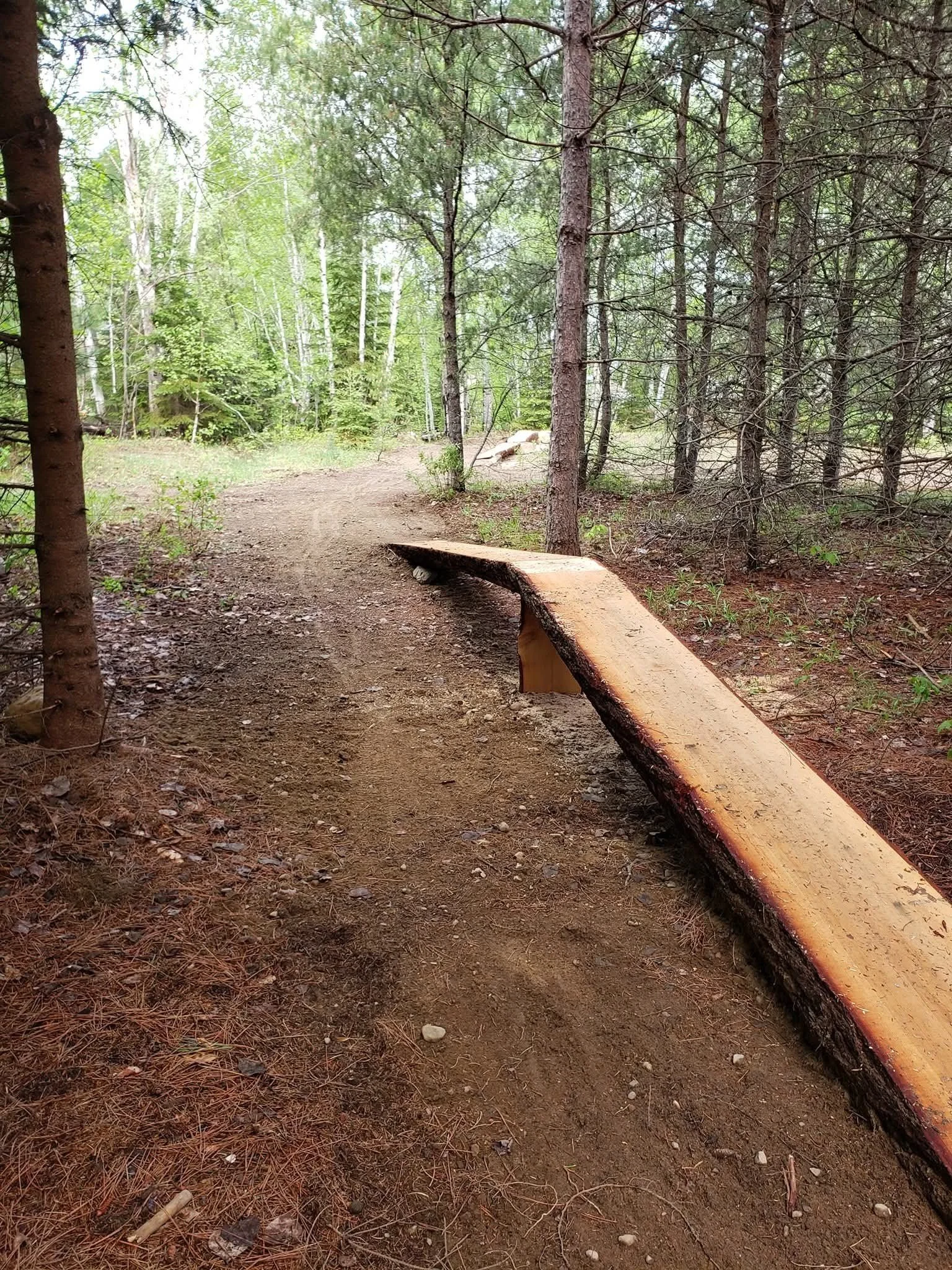 natural wood skinny.jpg