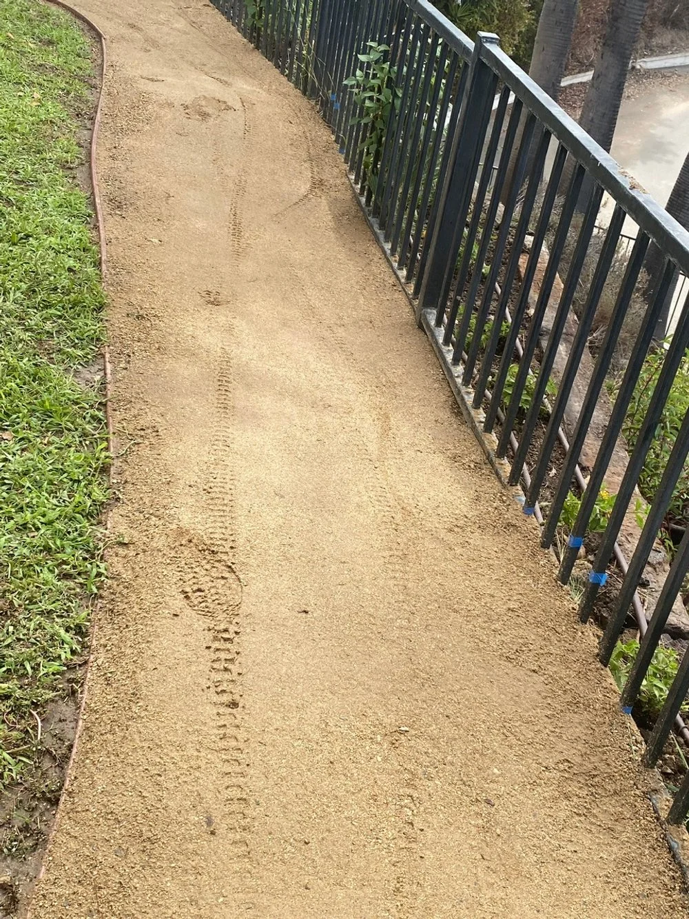 first tire tracks from excited kids!