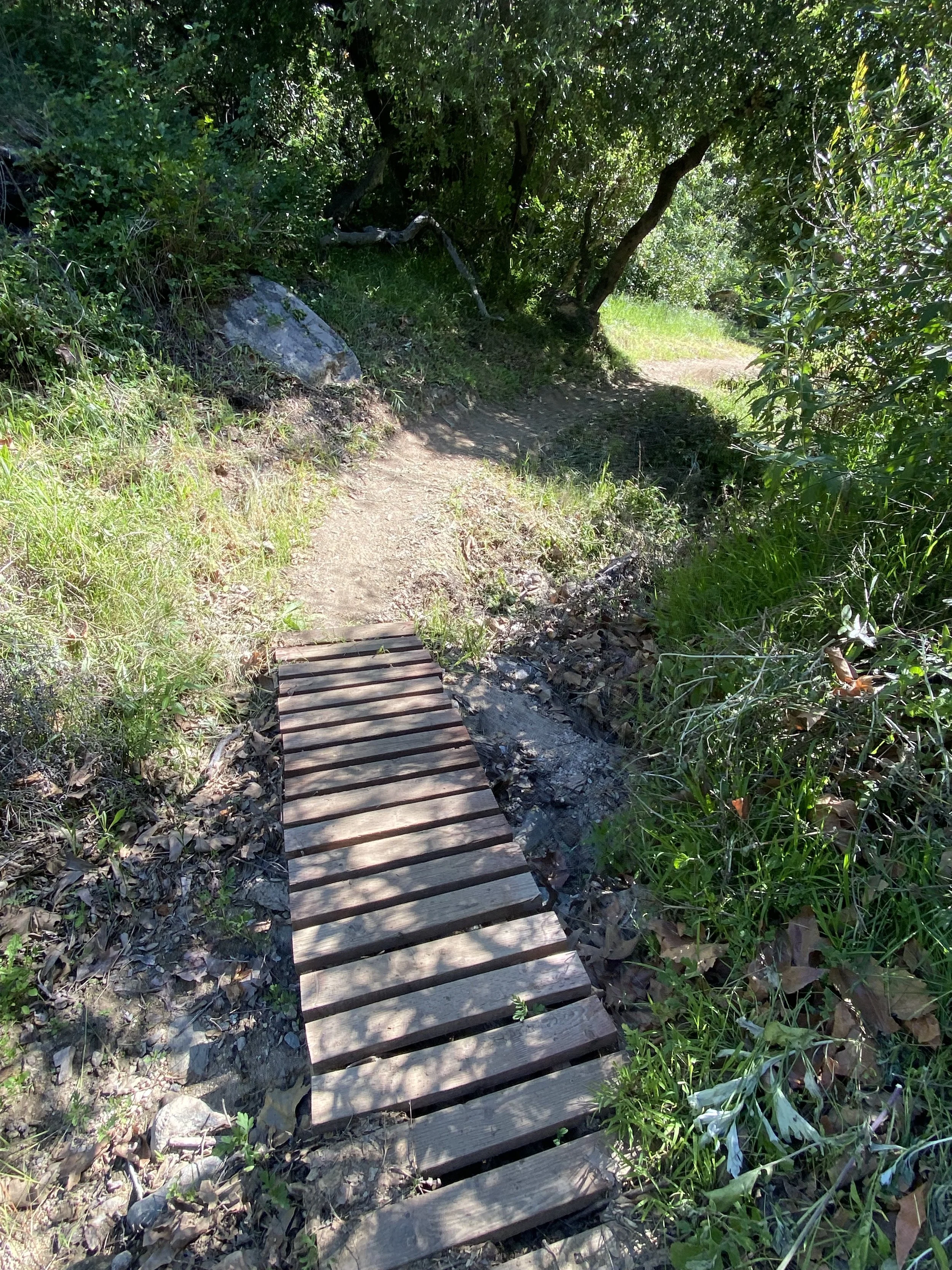 another hiker's bridge