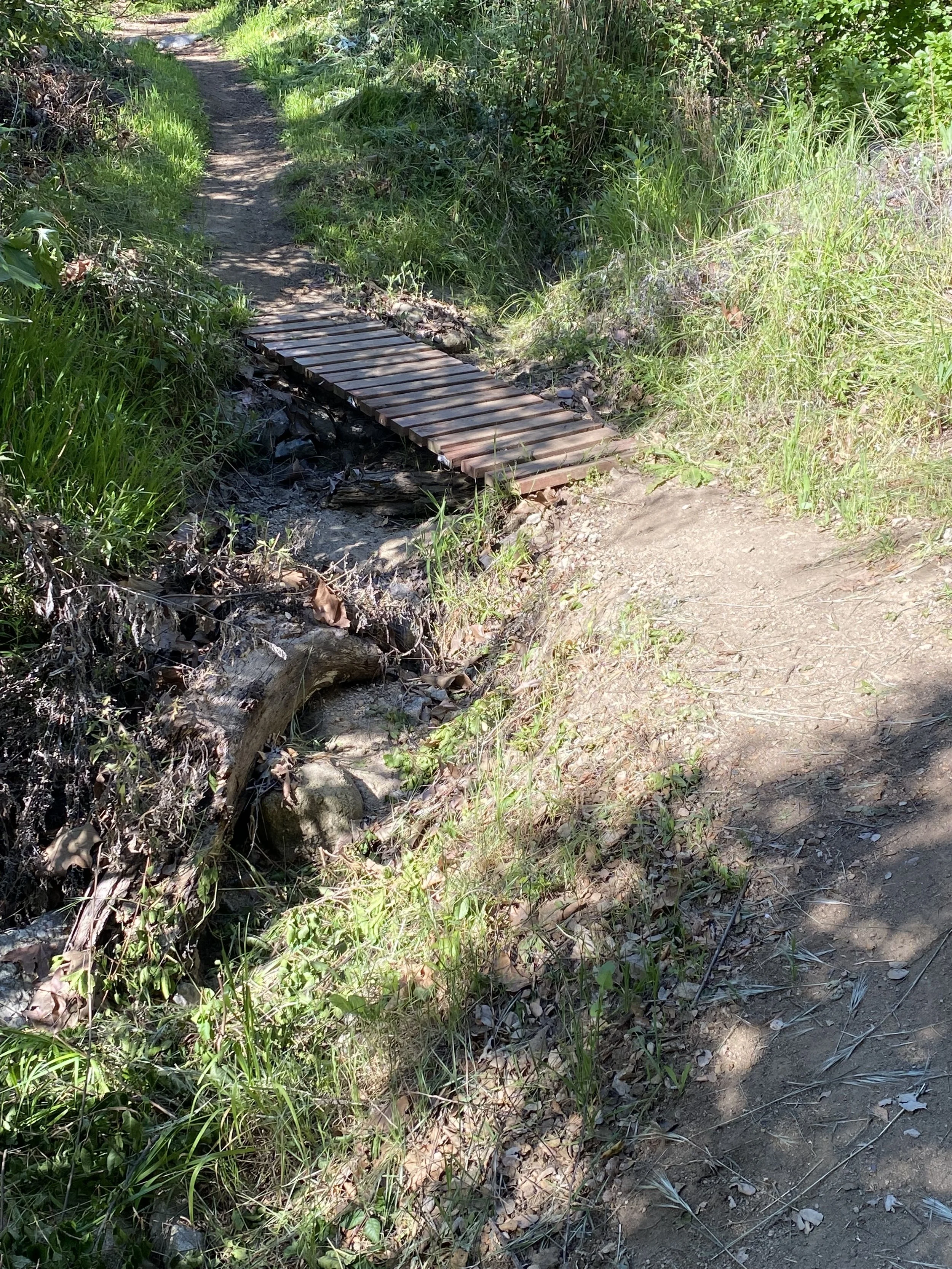 cleaned up trees and added bridge