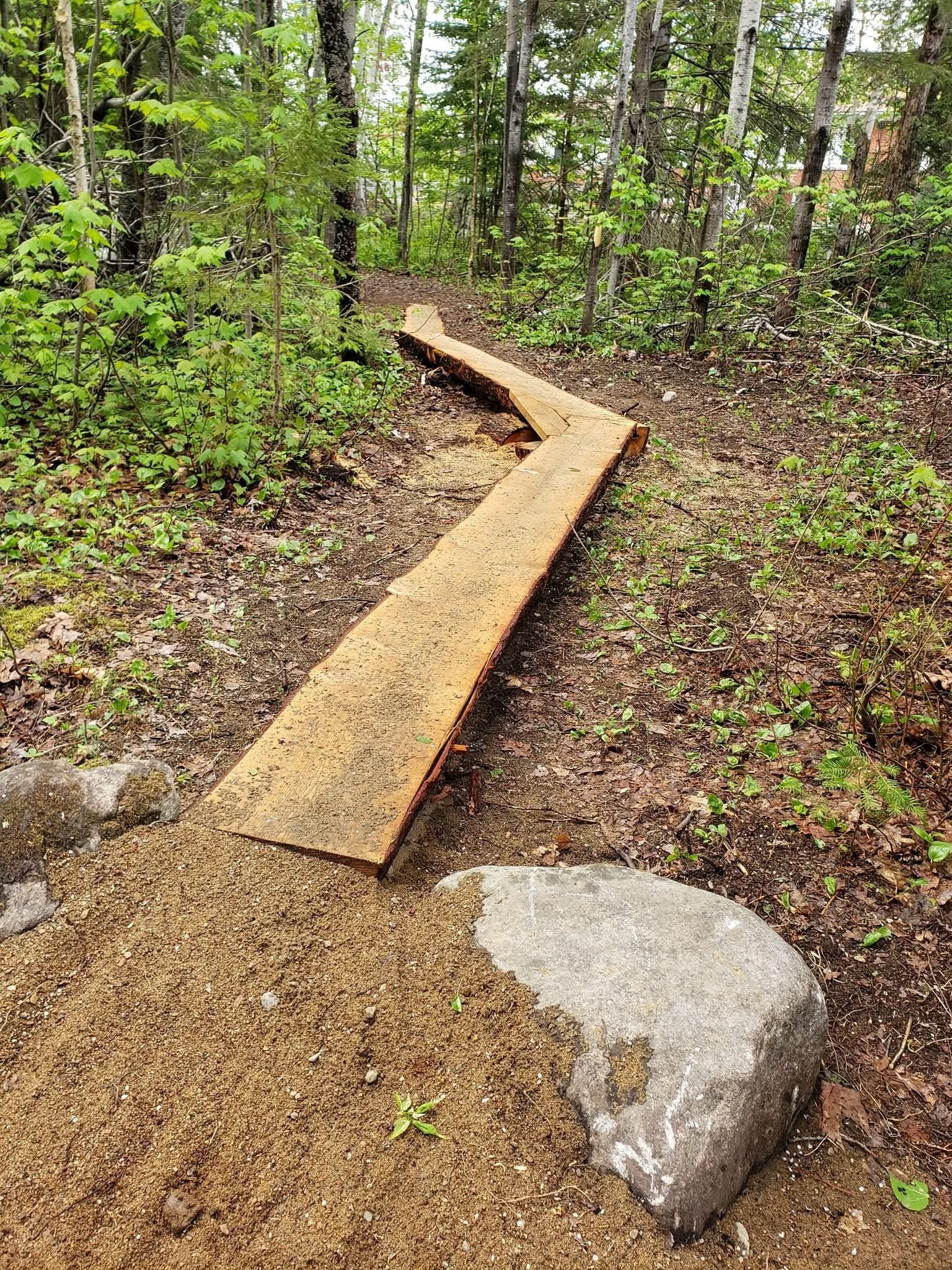 natural wood skinny 2.jpg