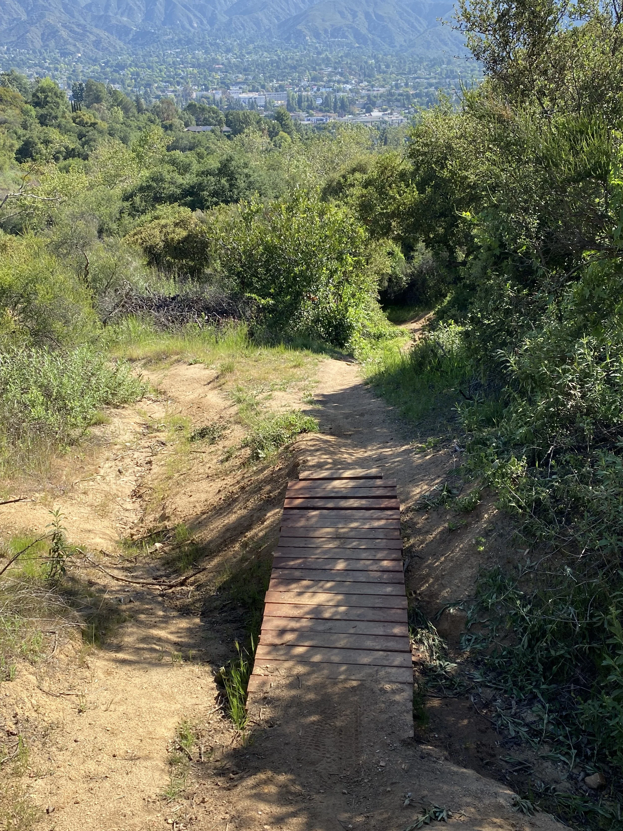 more wood ladders connecting trail forks