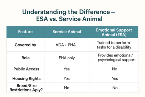 Service animal vs emotional support animal comparison chart showing ADA coverage, public access rights, and housing protections.