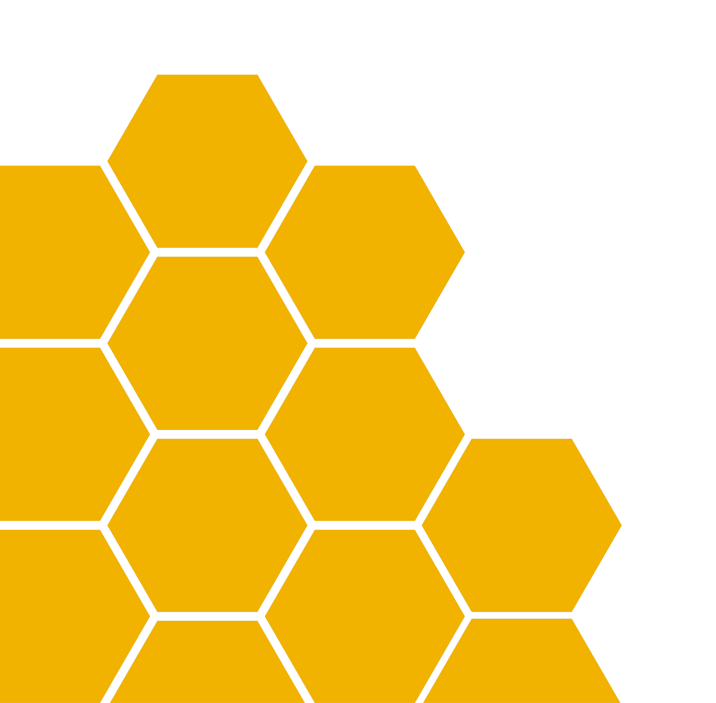 Close-up cartoon illustration of a honey bee with detailed wings and body, sitting on a honeycomb structure.