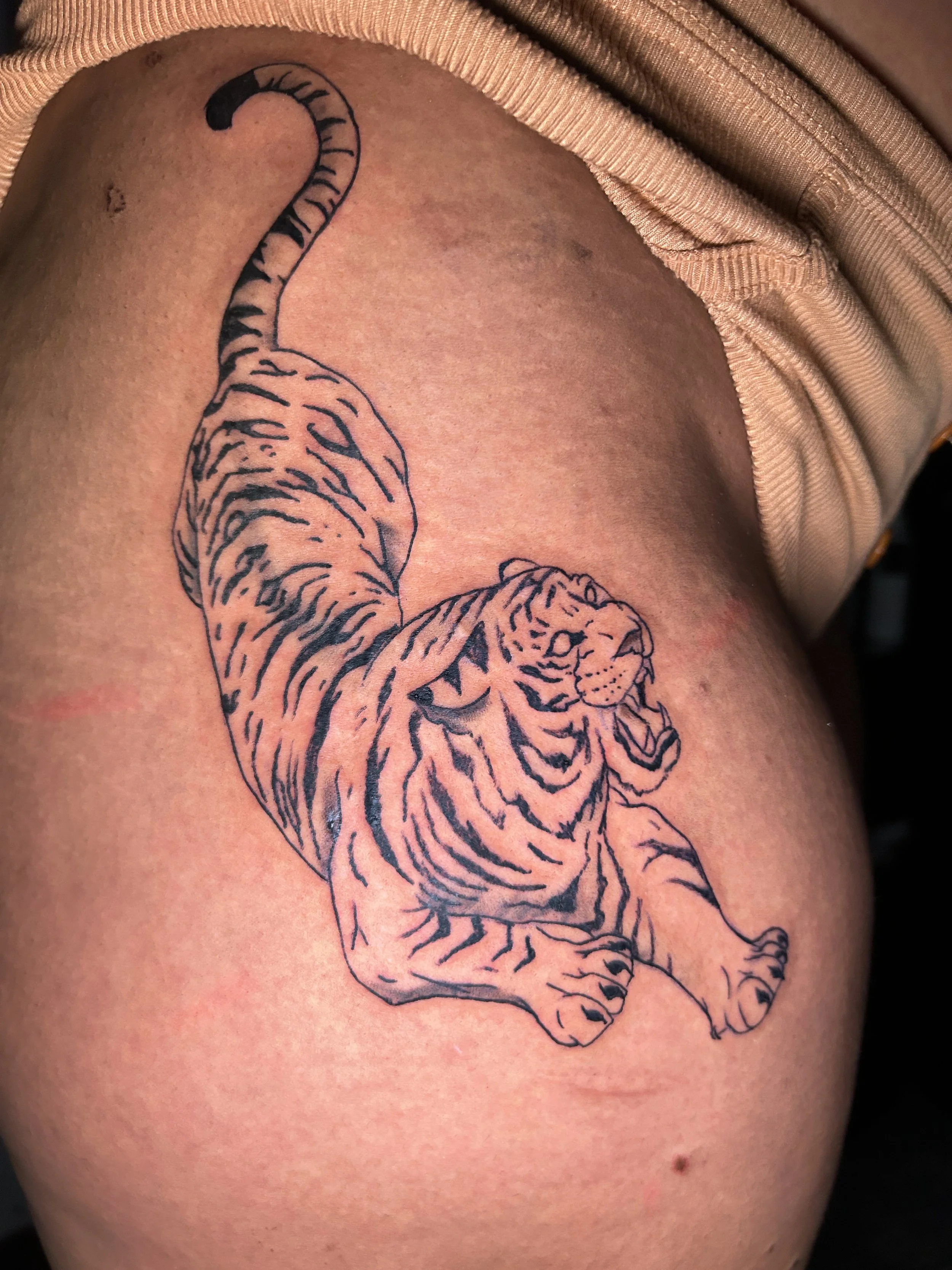 Tattoo of a relaxed tiger lying down with its tail curled up, on a person's shoulder.