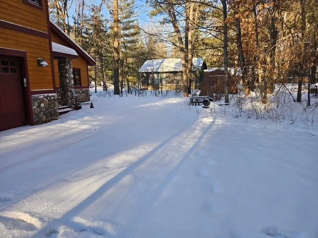 Snow-covered driveway with tire tracks leading toward a log cabin on the left and a wooden shed in the background, surrounded by trees with some snow on their branches.