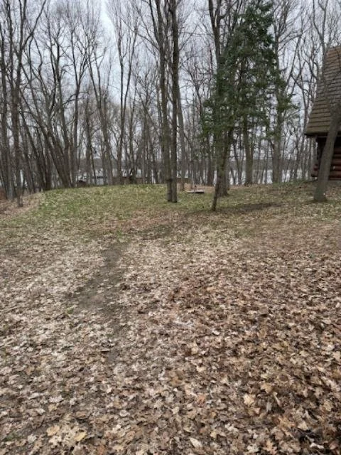 Spring Cleanup_Before 2.JPG