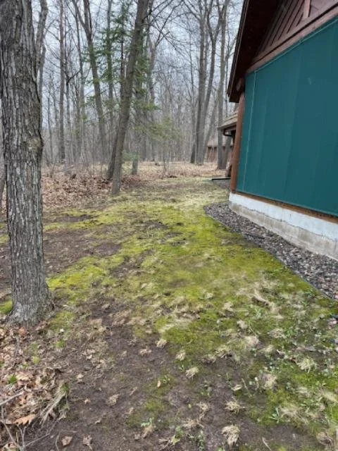 Spring Cleanup_After 3.JPG