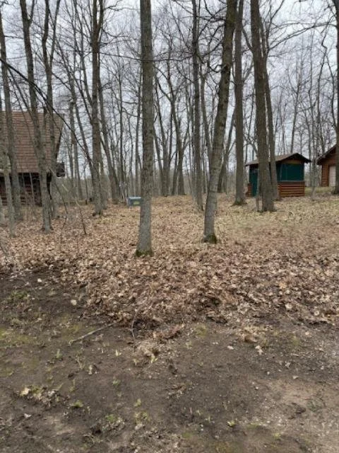 Spring Cleanup_Before 1.JPG