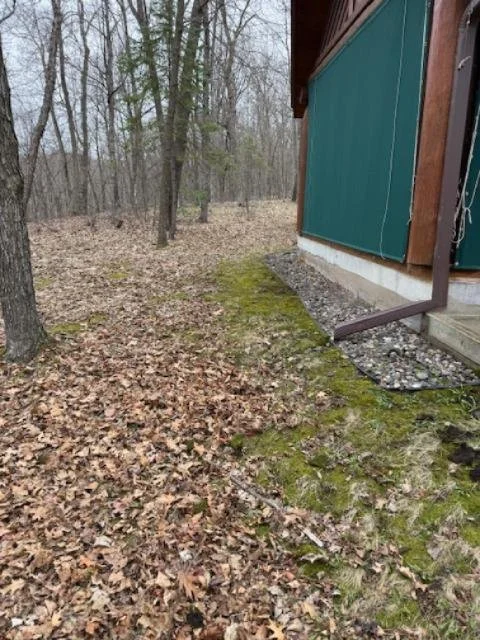Spring Cleanup_Before 3.JPG