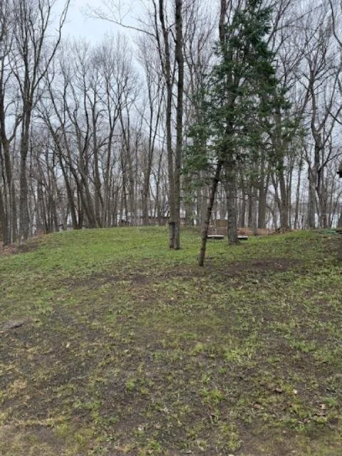 Spring Cleanup_After 2.JPG