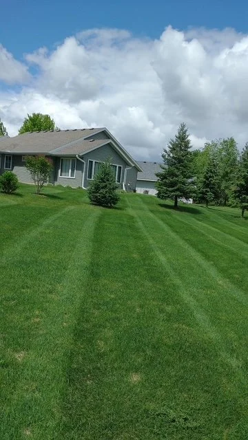 Lawn_Pic4.JPG