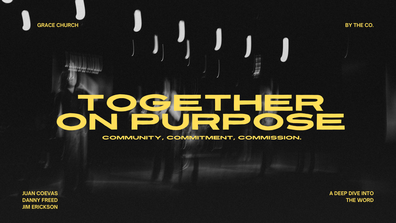 Dark background with blurred silhouettes of people and abstract light streaks. Text overlay includes: "TOGETHER ON PURPOSE" in bold yellow, with smaller text "COMMUNITY, COMMITMENT, COMMISSION" and authors JUAN COEVAS, DANNY FREED, JIM ERICKSON, alon
