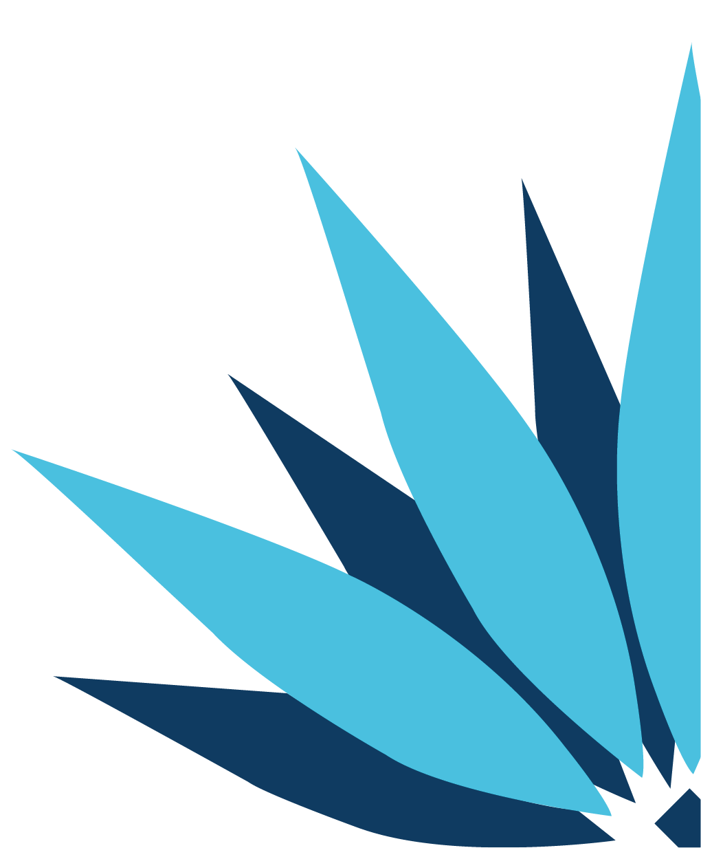 Stylized blue and dark blue leaf design on a black background.