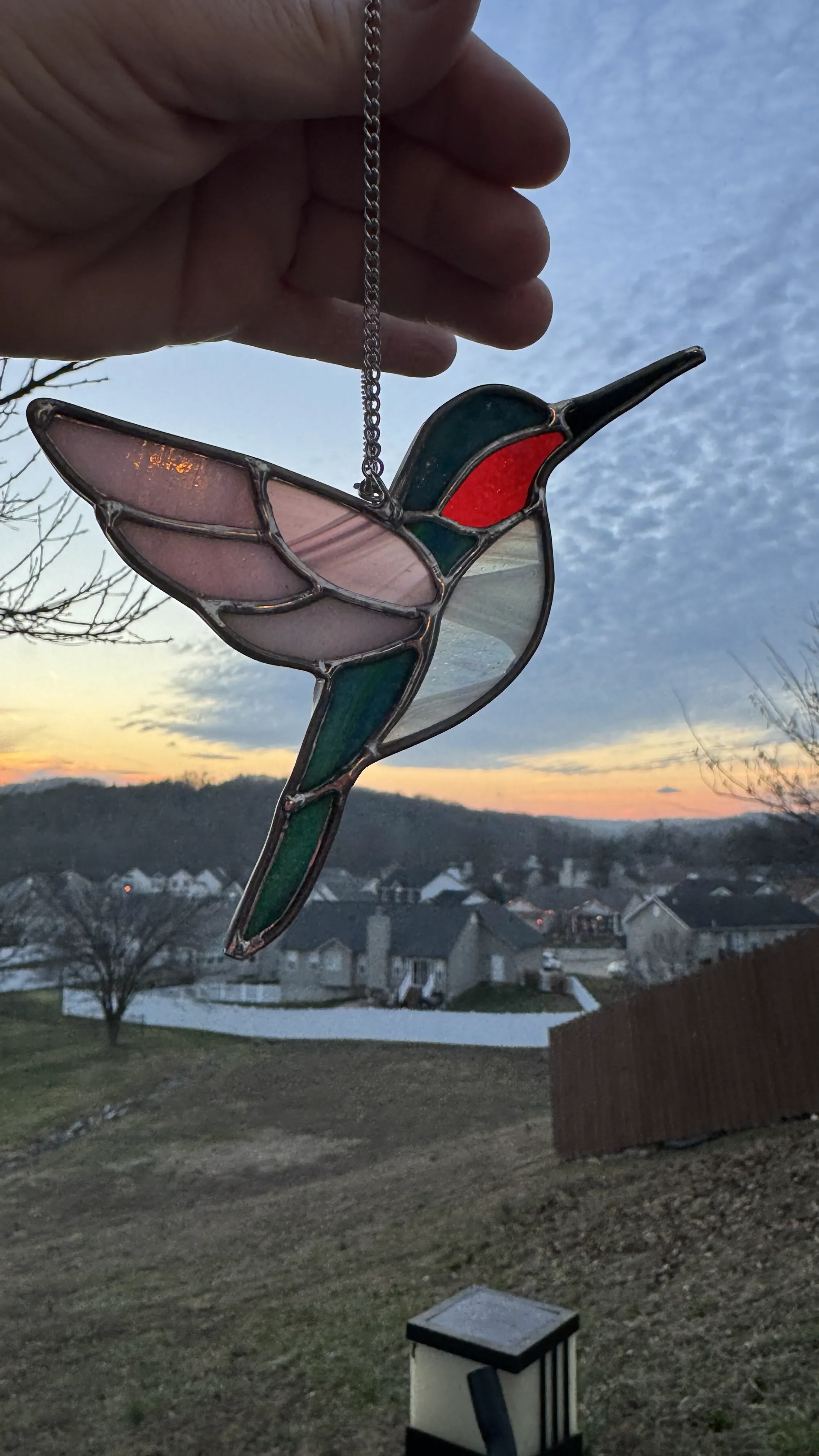 humming bird with pink wings, green body and white under body