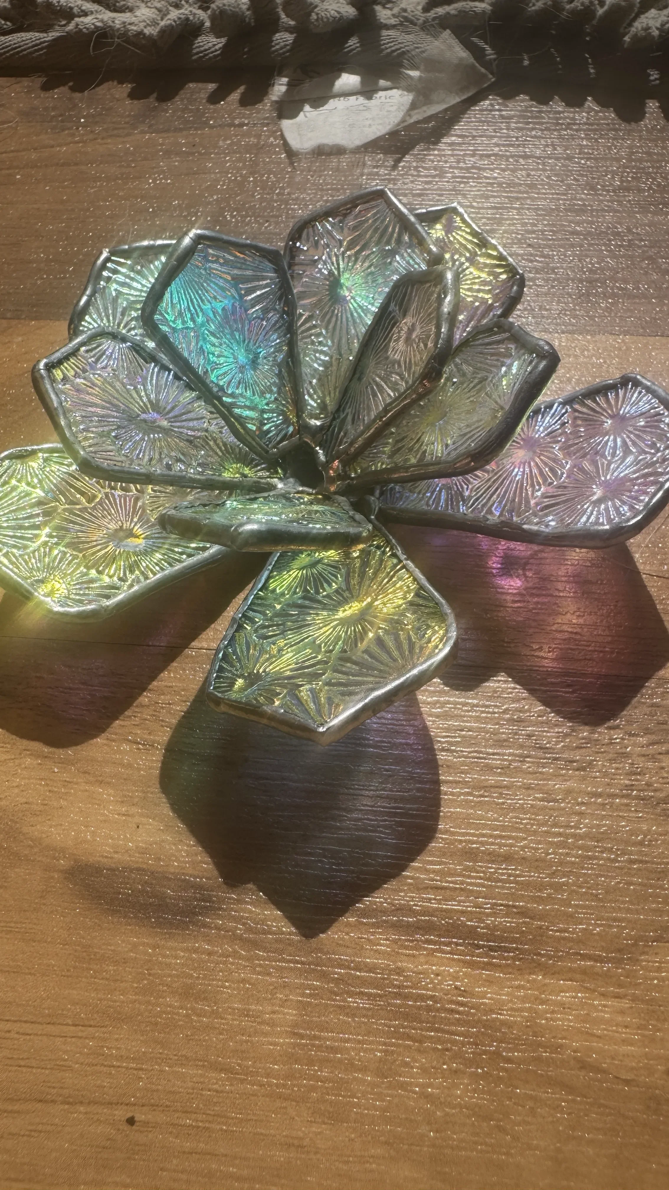 3D rainbow succulent