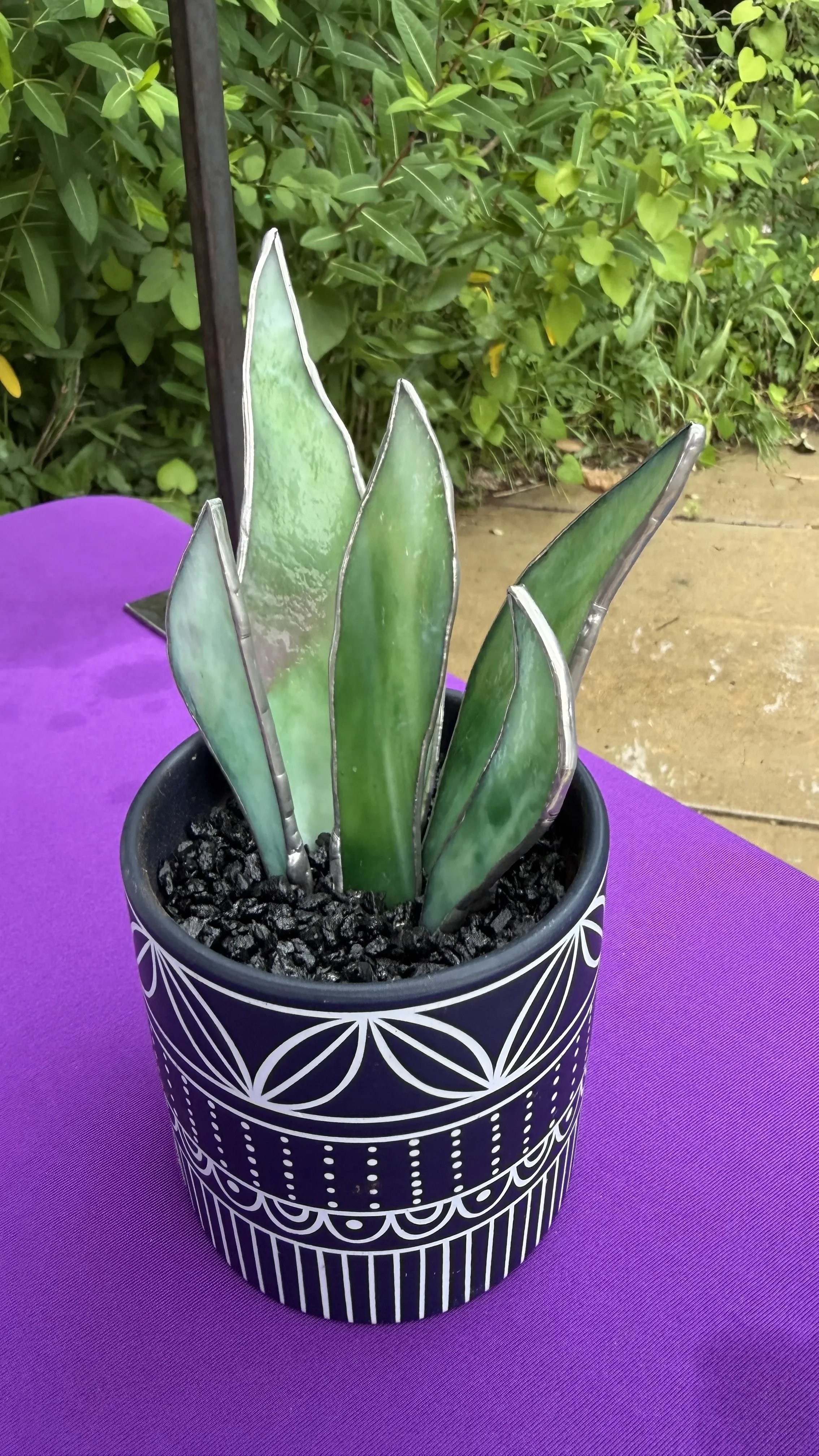 3d snake plant