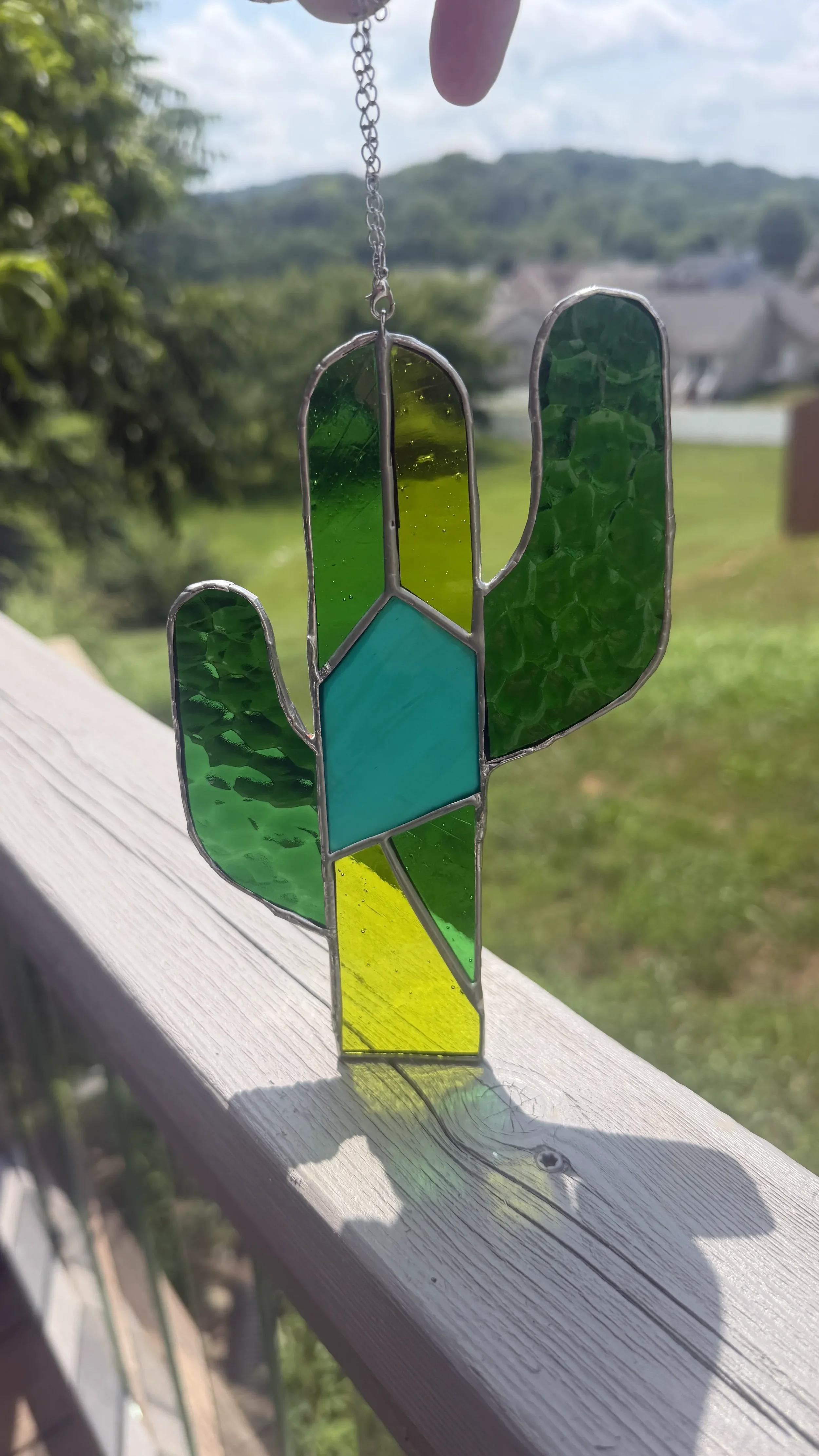 green cactus with a teal middle