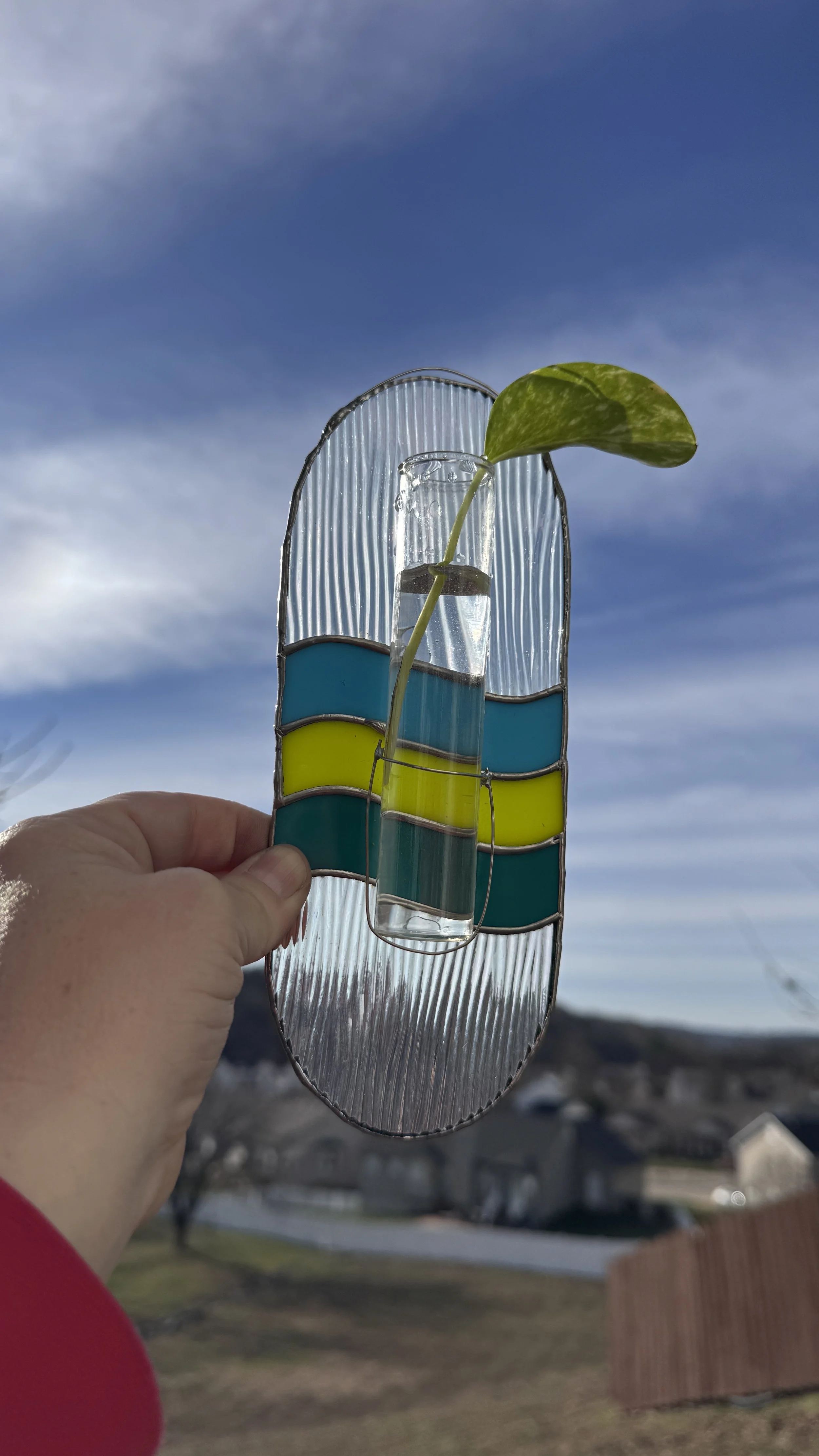 A person is holding a stained glass art piece with a small glass container holding water and a plant cutting inside, against a cloudy sky background.