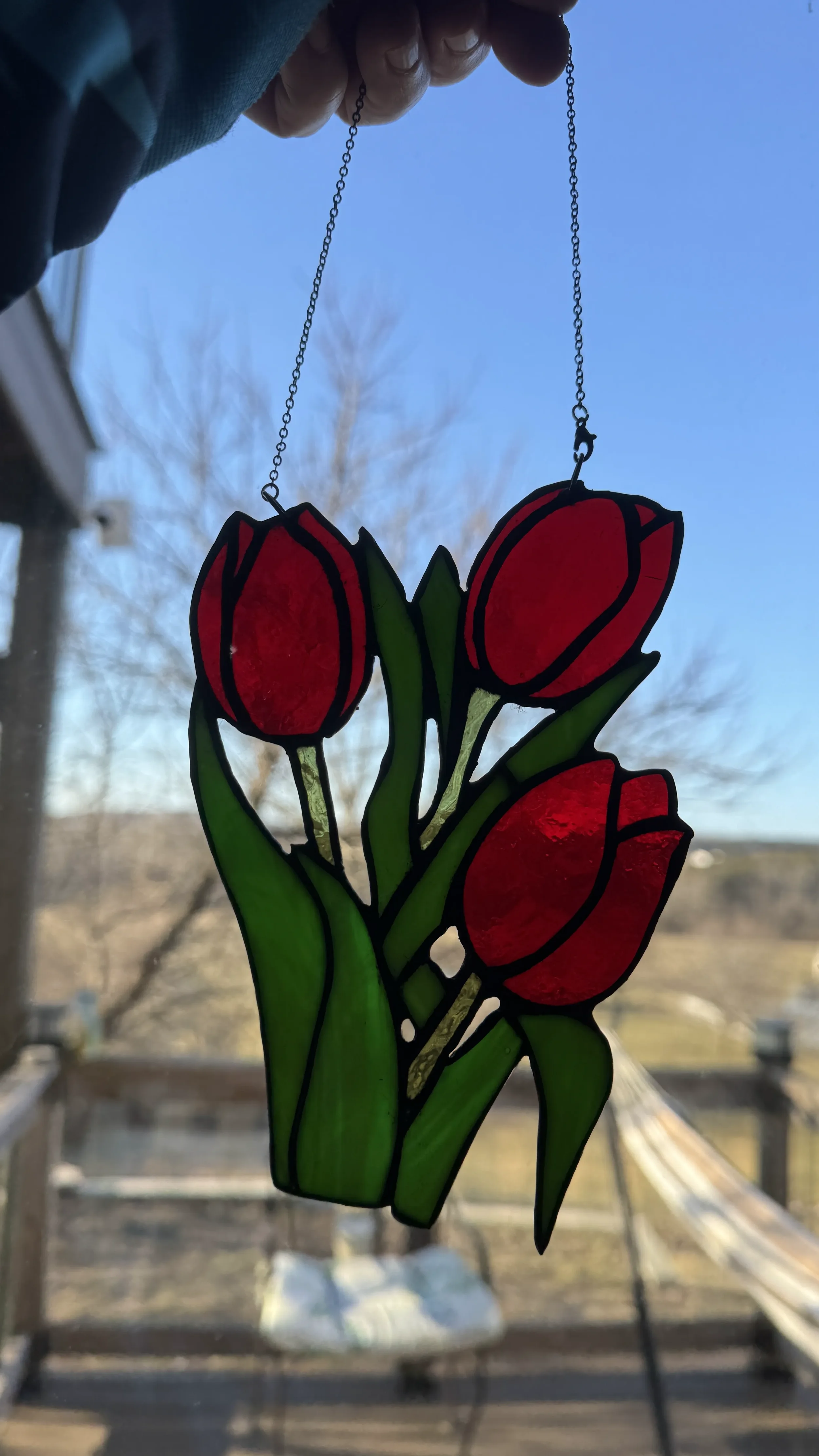 red tulips with green leaves